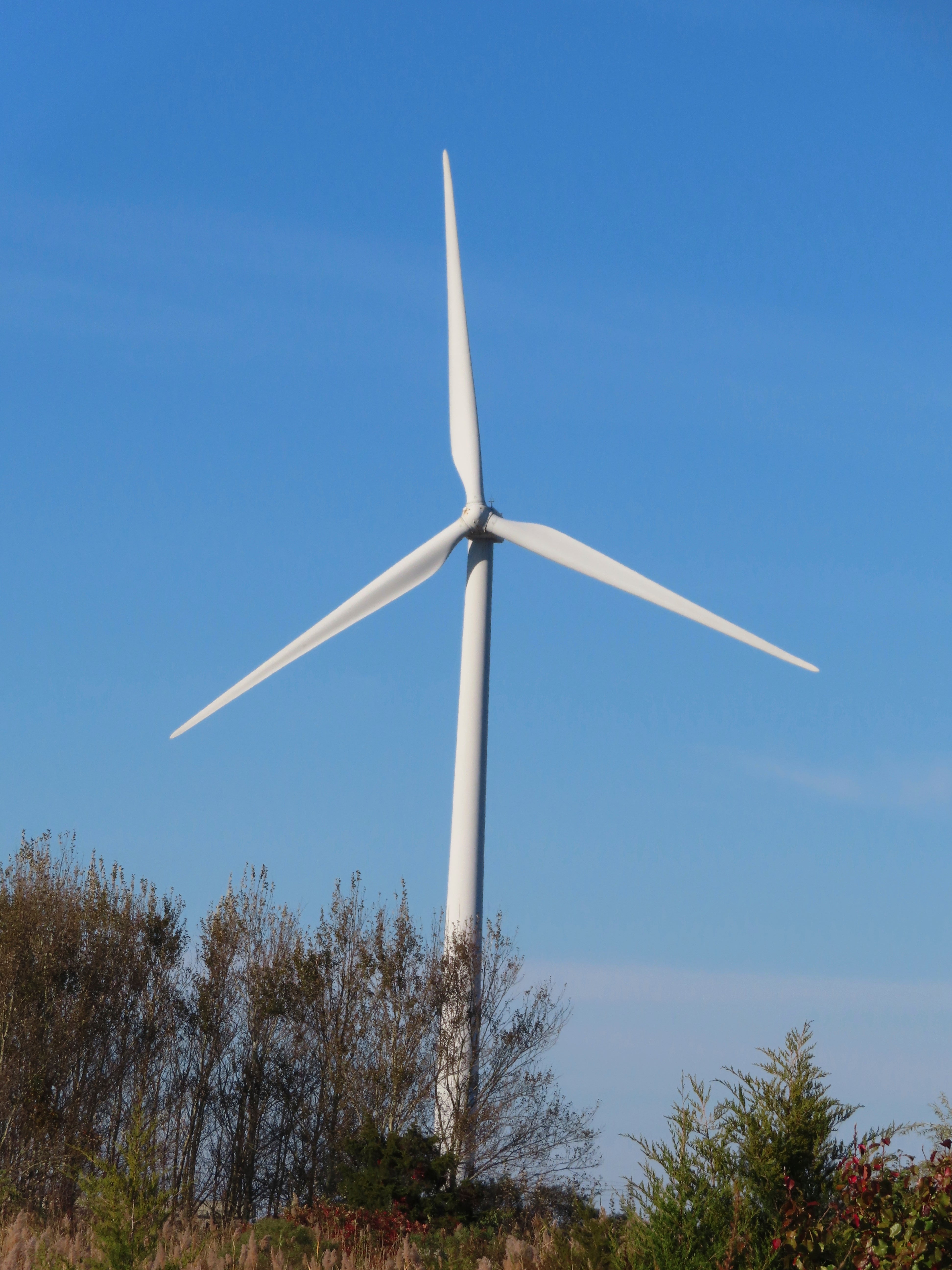 Offshore Wind New Jersey