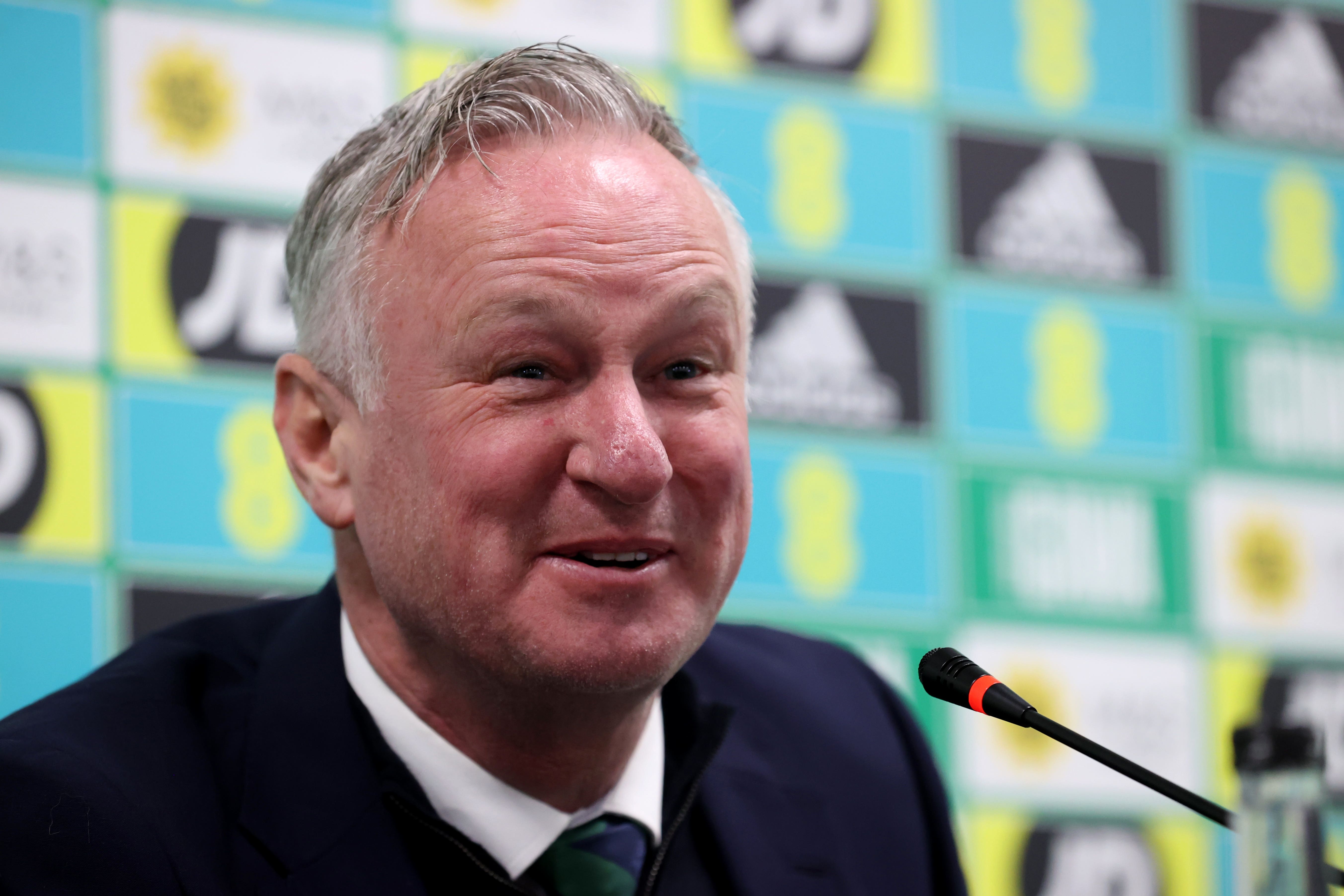 Michael O’Neill’s Northern Ireland beat Denmark (Liam McBurney/PA)