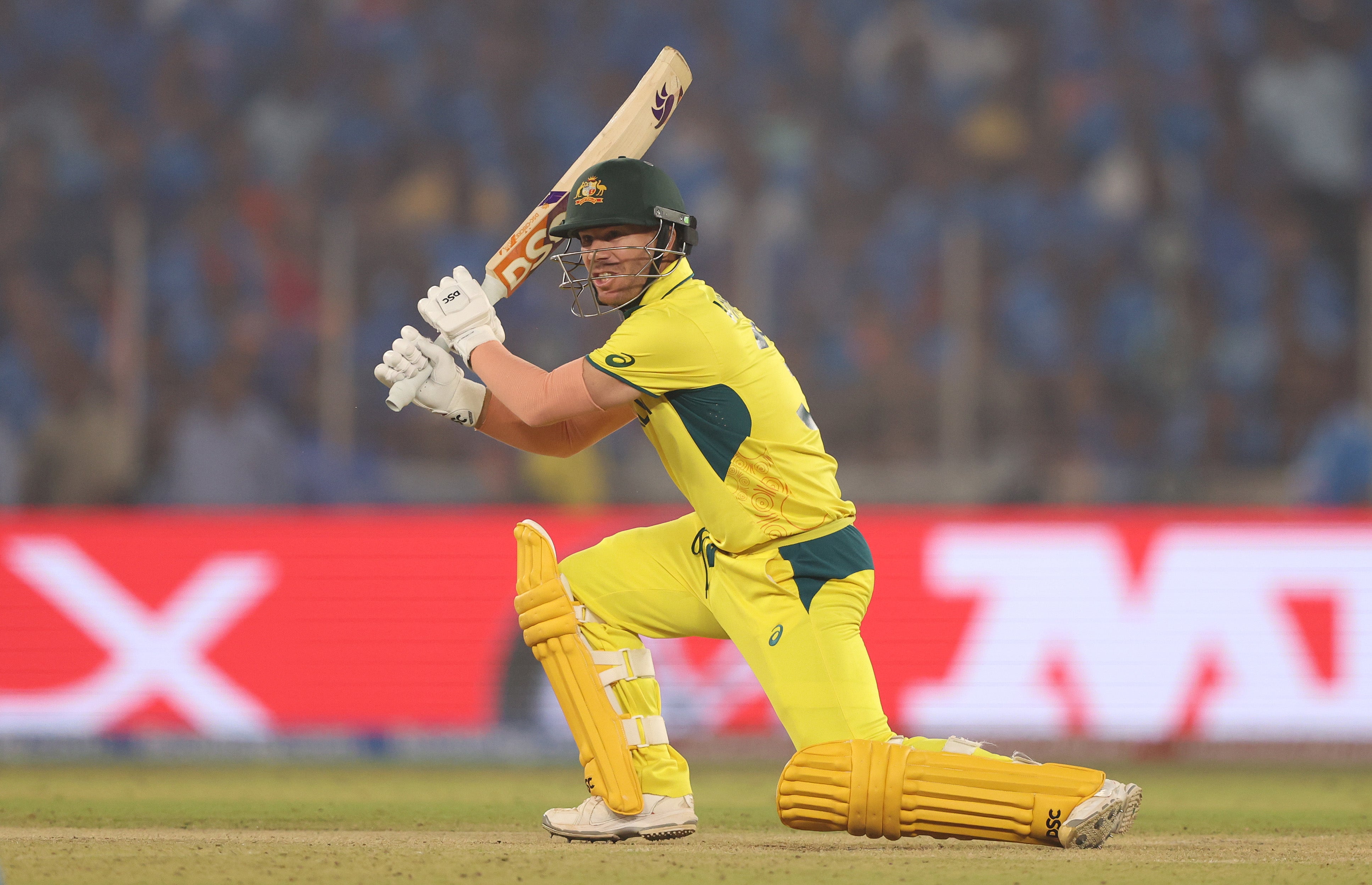 David Warner boasts an impressive record in ODI cricket