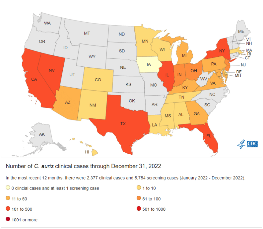 There were over 2,300 reported cases of Candida auris in 2022 across the US