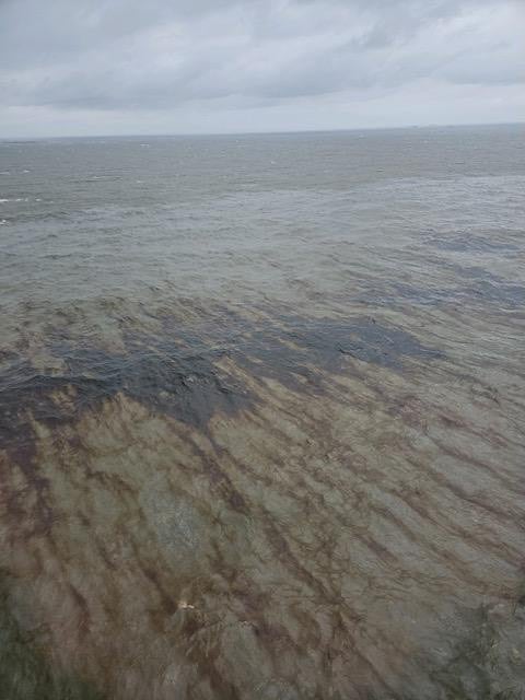 Gulf of Mexico oil spill