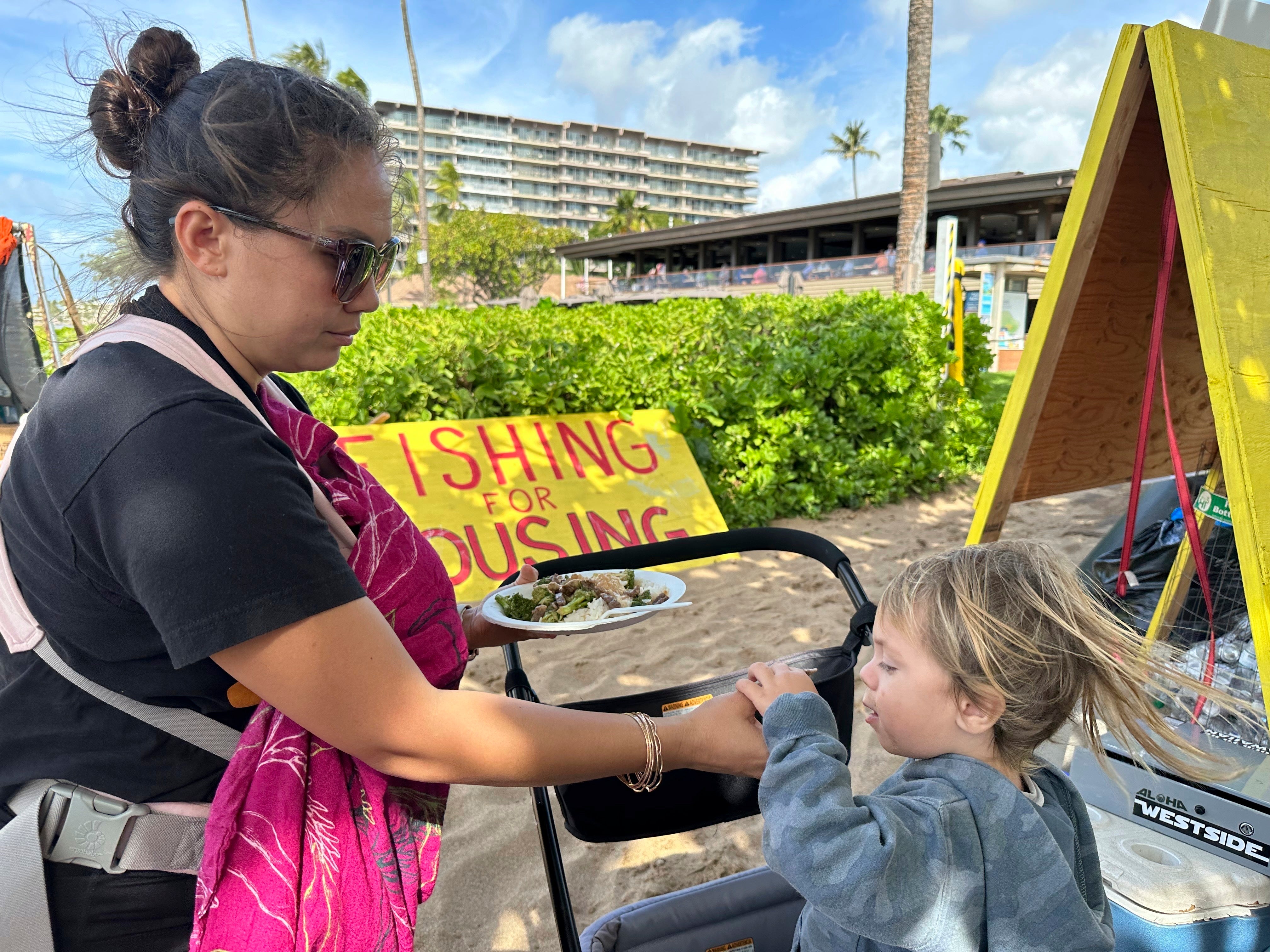 Hawaii Wildfires Housing Protest
