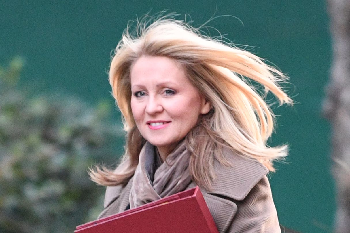 Esther McVey said the Tory party is ‘full of common sense and I’m building on all those policies’