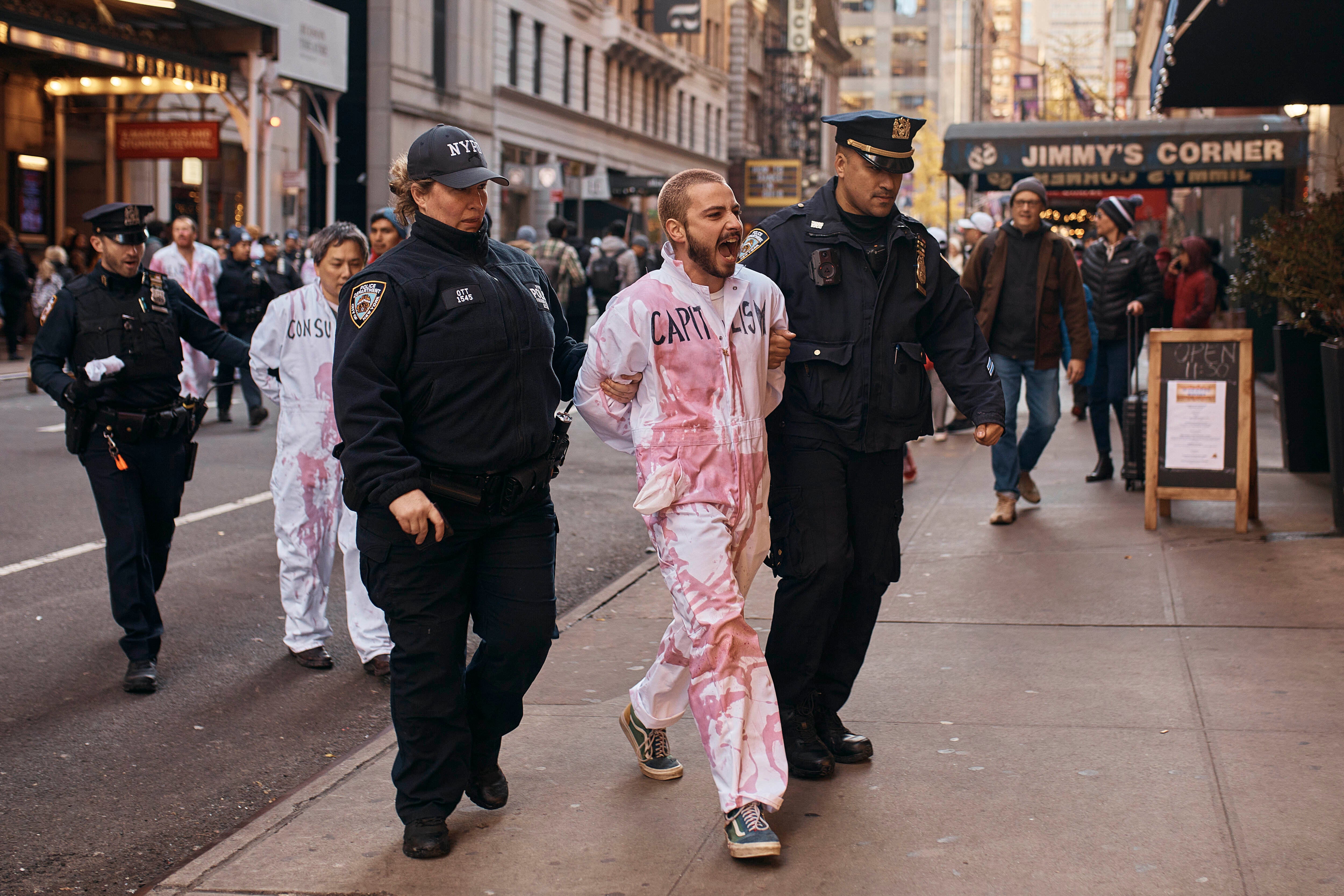 Protesters being arrested