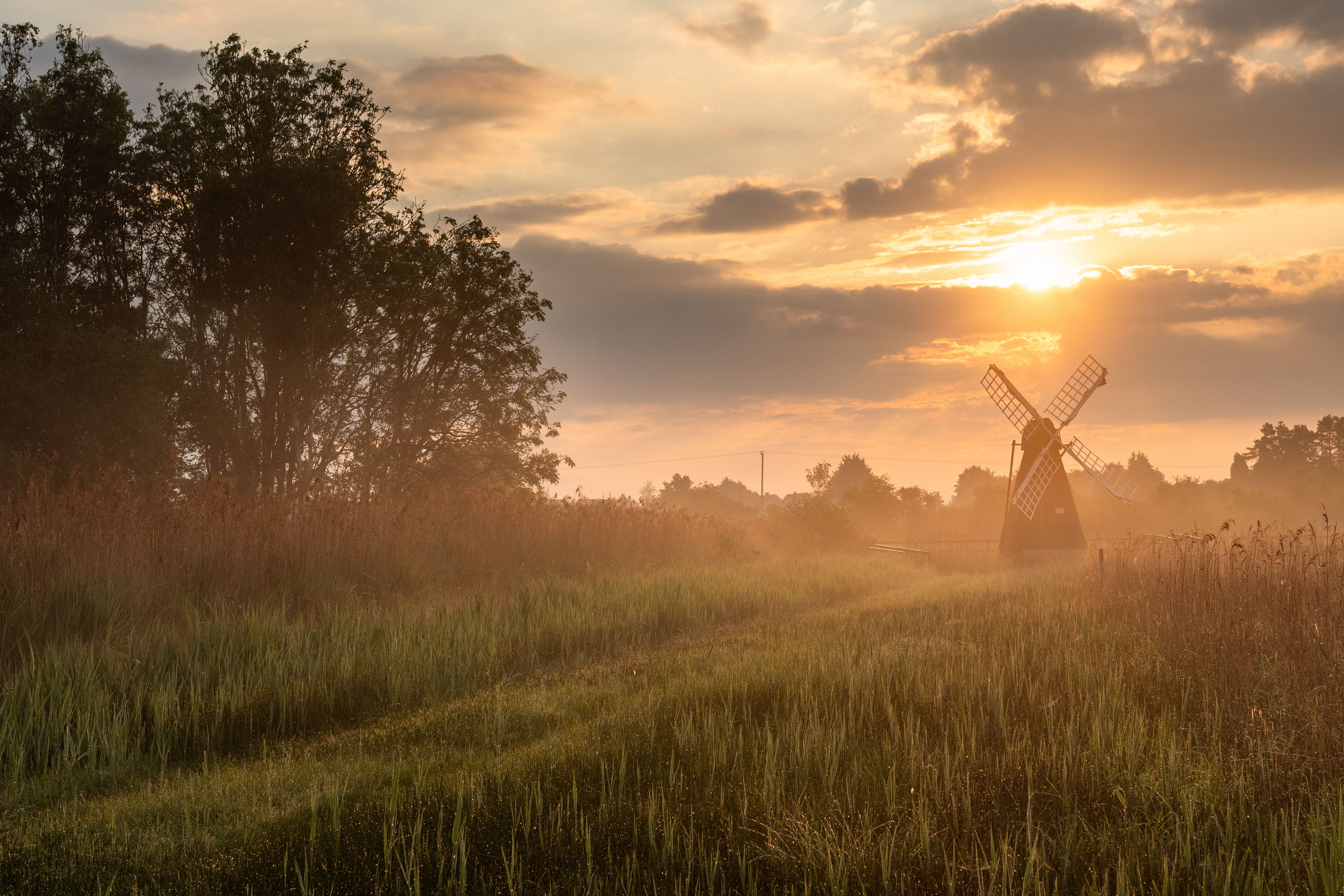 A wetland habitat at Wicken Fen attracts birds to the Cambridgeshire (Rob Coleman/National Trust/PA)