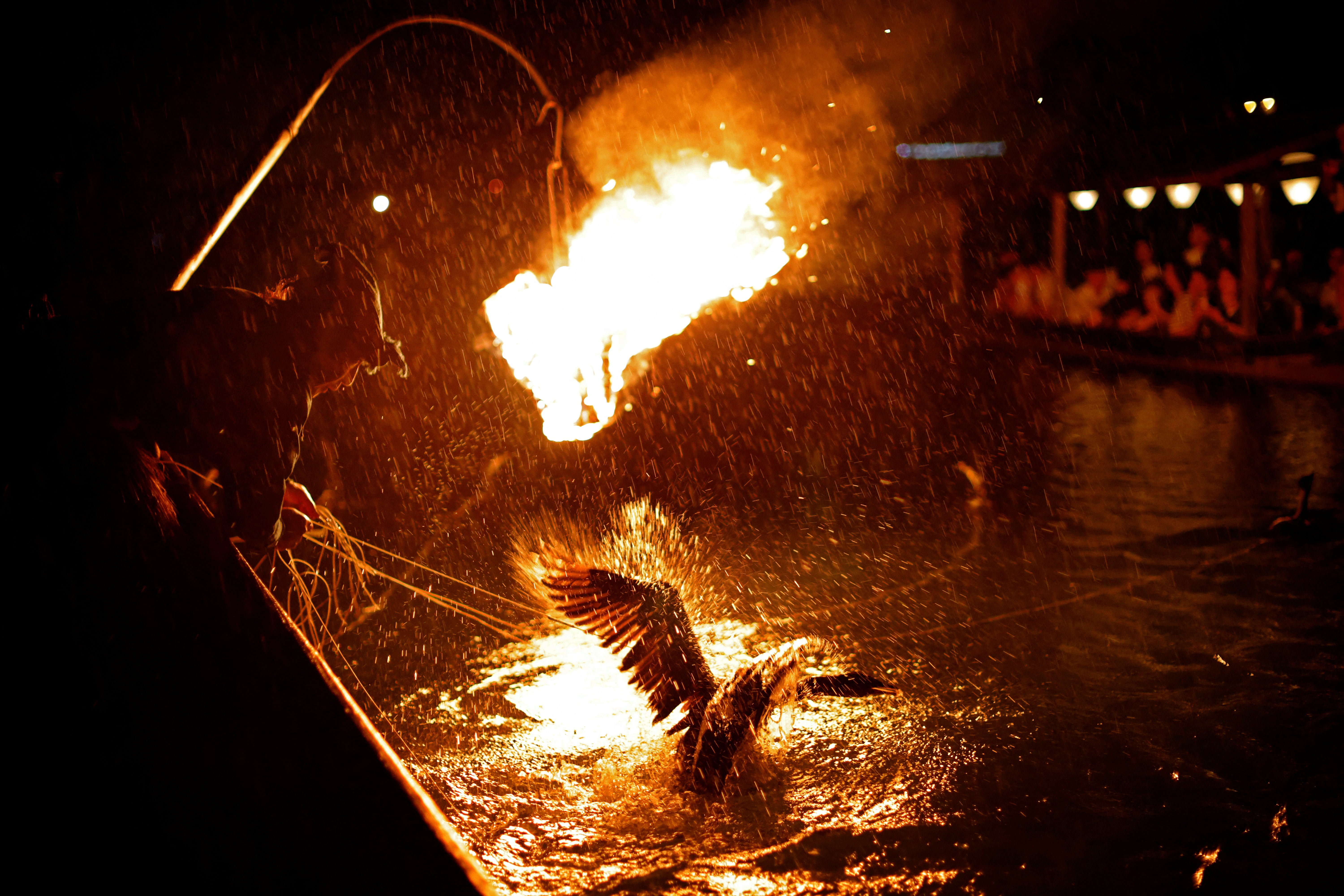 A cormorant splashes water with its wings during fishing