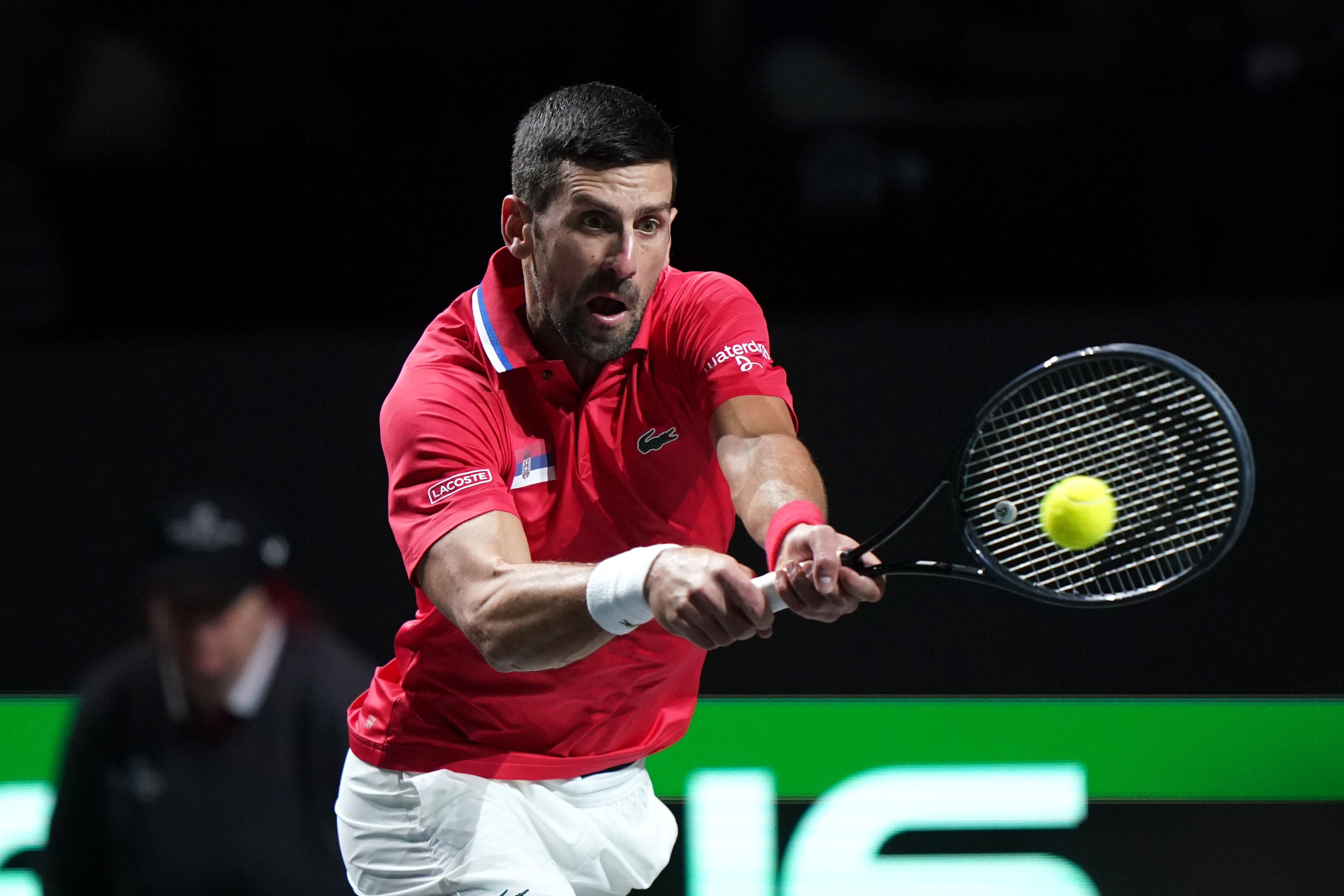 Novak Djokovic was unhappy with some of the British fans in Malaga (Adam Davy/PA)