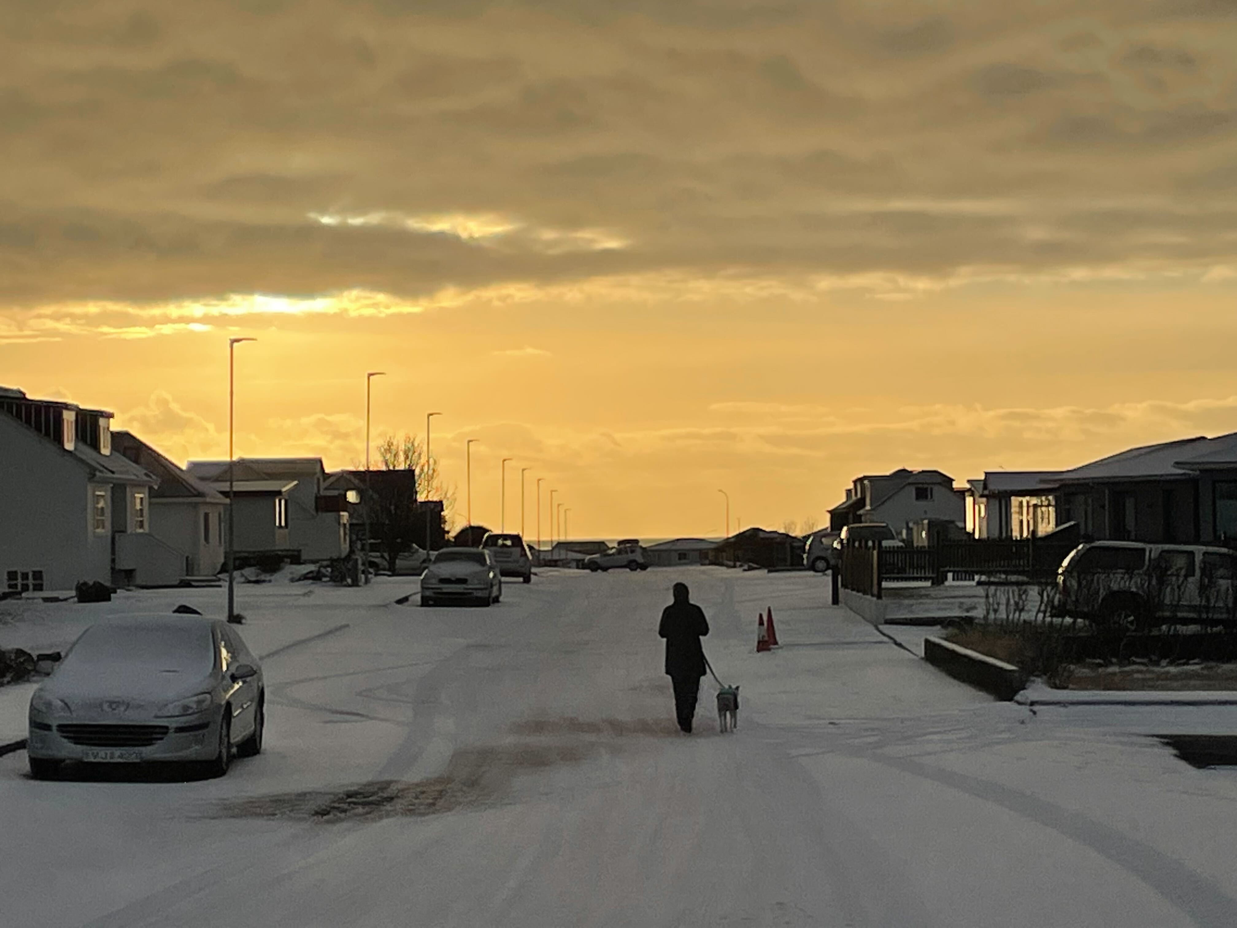 A picture of normality as a dog-walker returns to their route