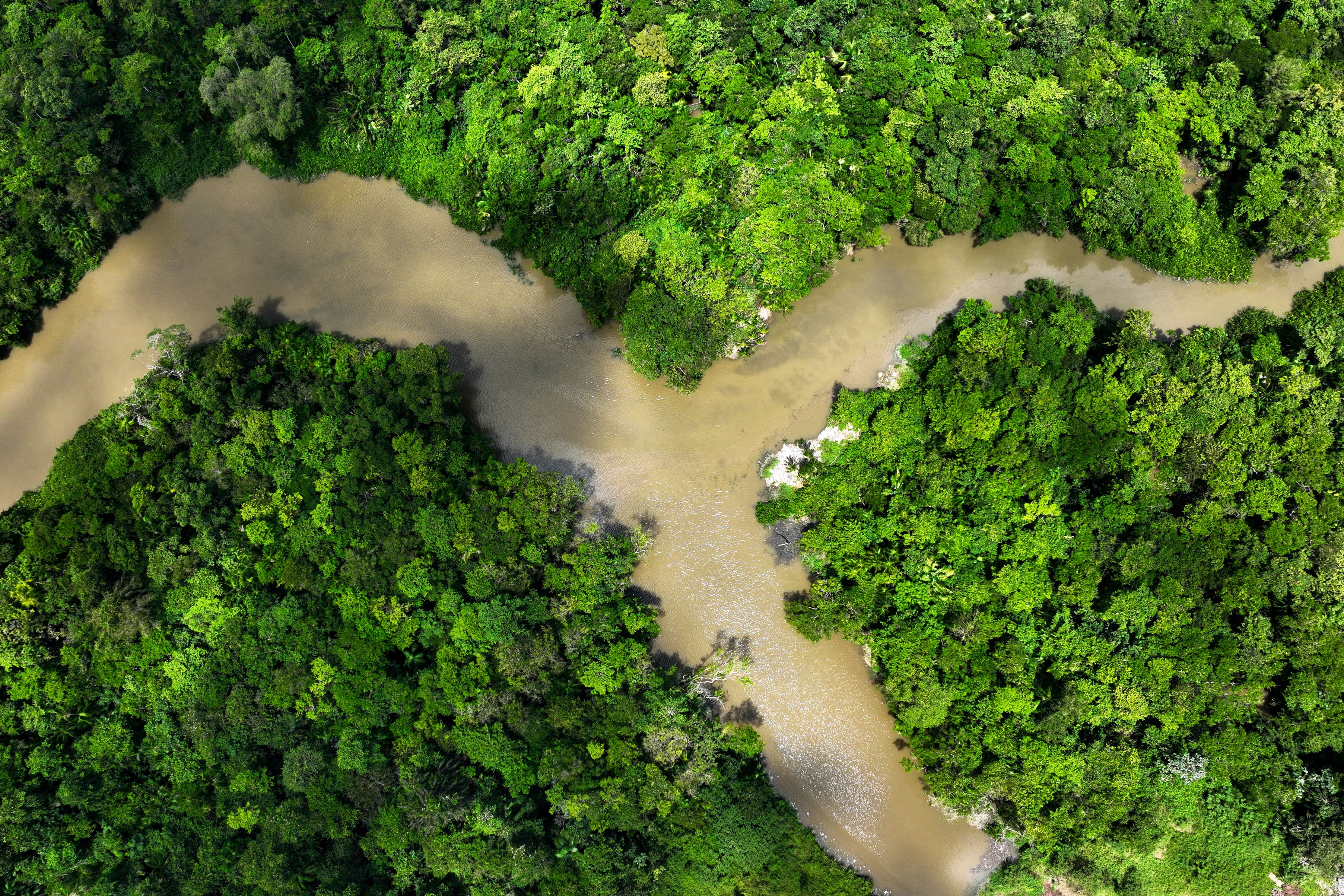 Deforestation in Brazil — which threatens the Amazon Rainforest, pictured above, — could hit an all-time low in the next 1-2 years, one government official said this week.