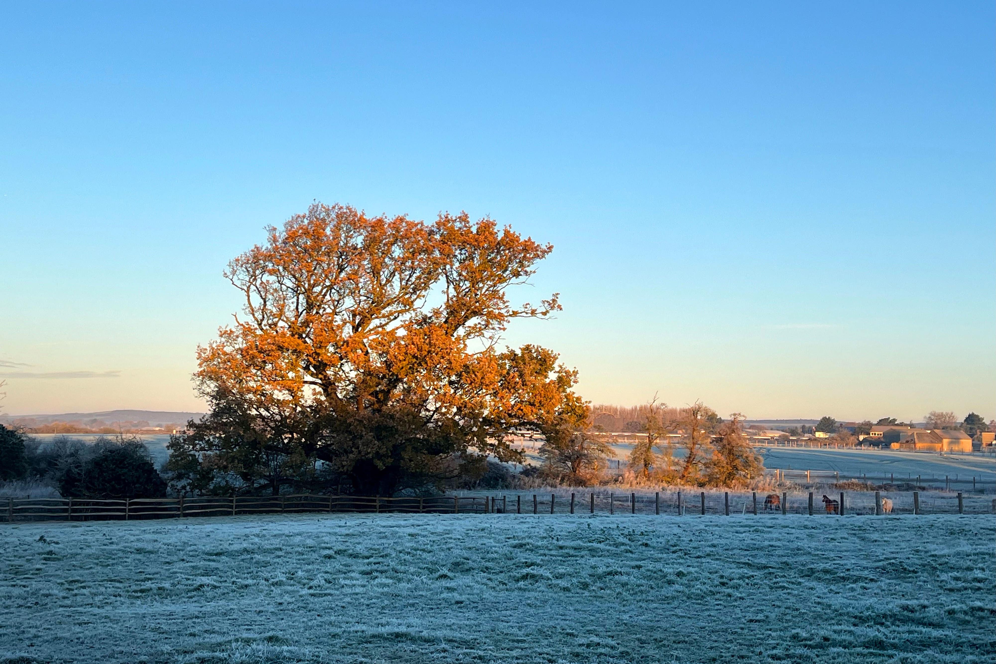 Temperatures again dropped to below freezing overnight as the autumn cold snap continued (PA)