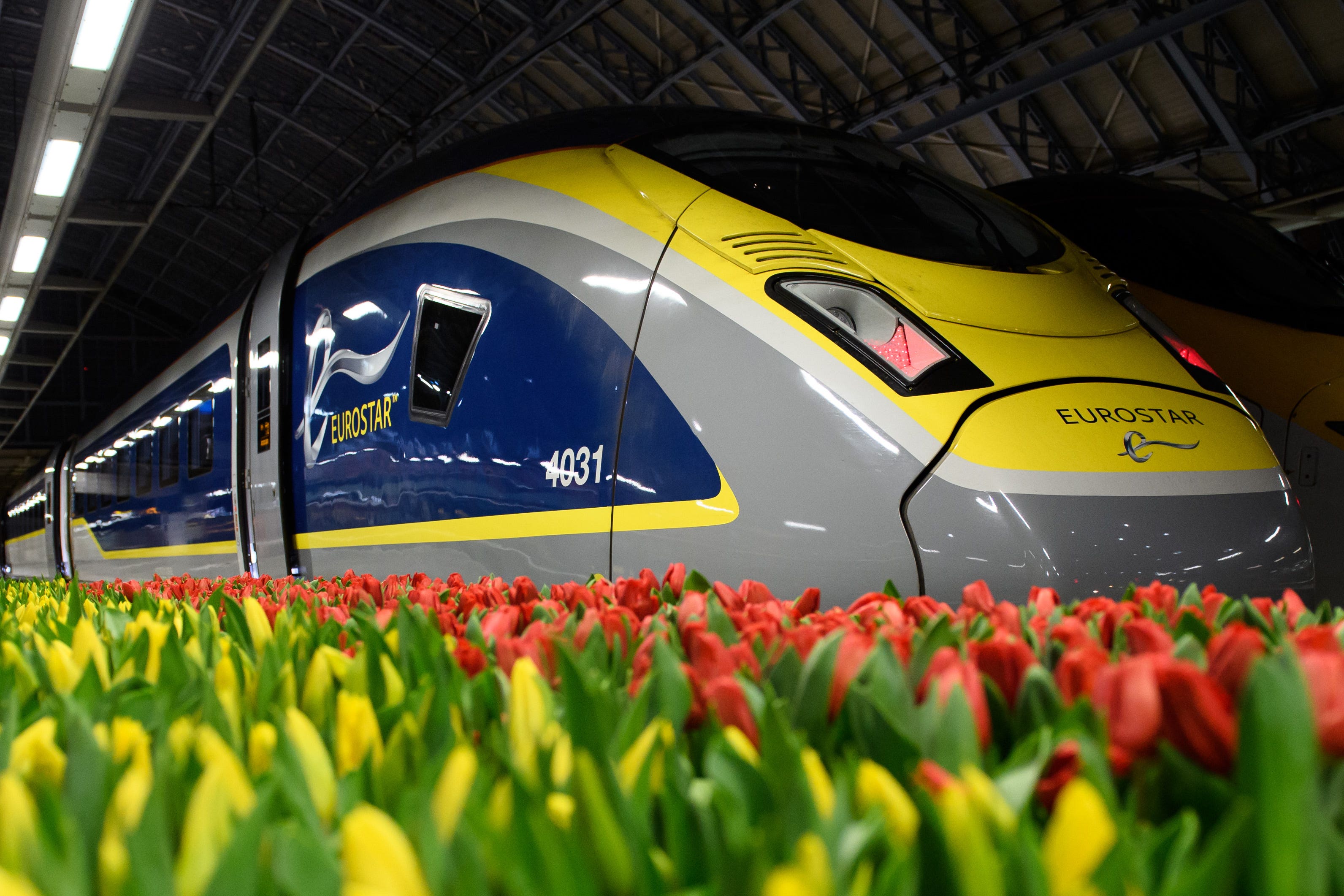 Eurostar services from the Netherlands to London will be suspended for around six months (Eurostar/PA)