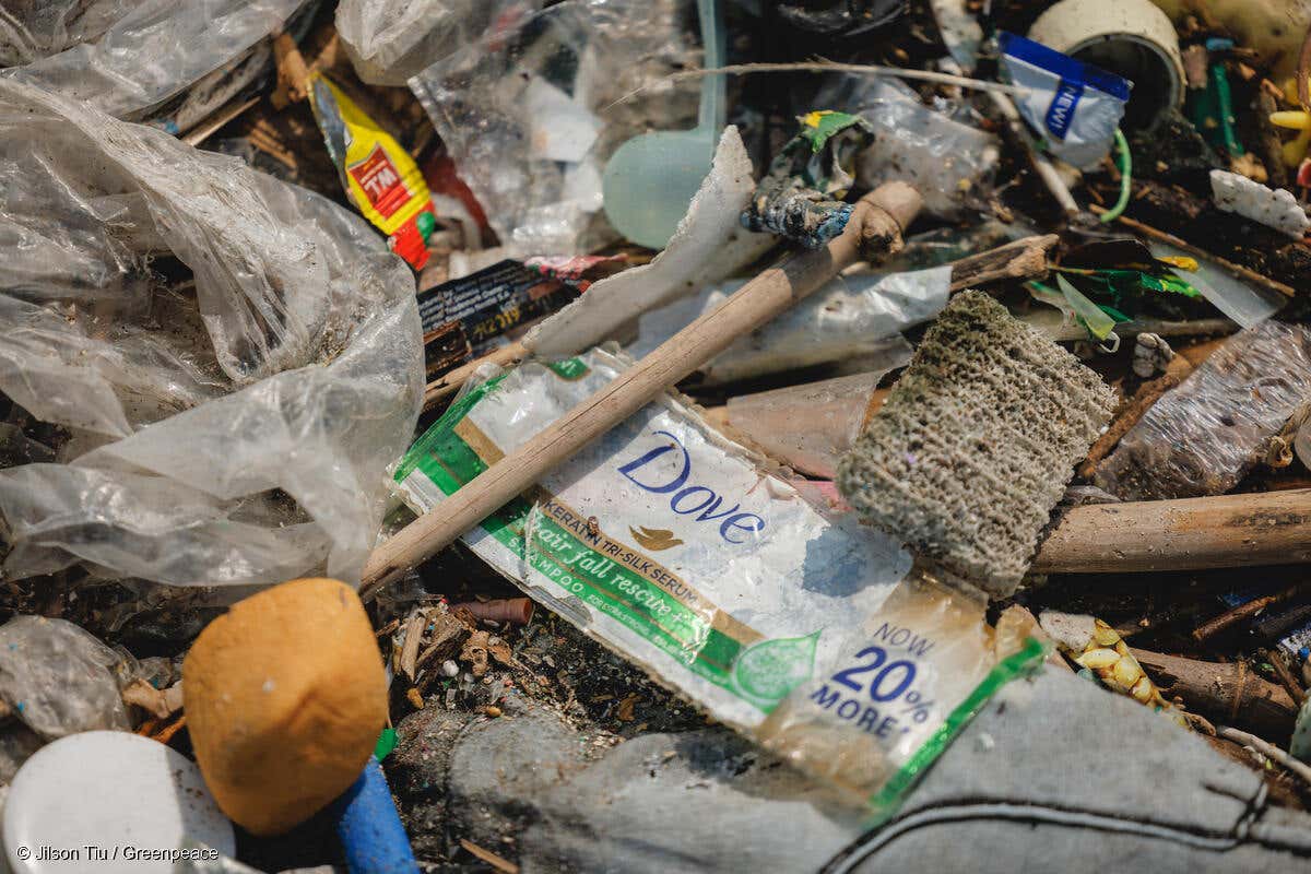 Plastic rubbish, including from company Dove around Freedom Island at Las Pinas, Philippines (C Jilson Tiu/Greenpeace Philippines/PA)