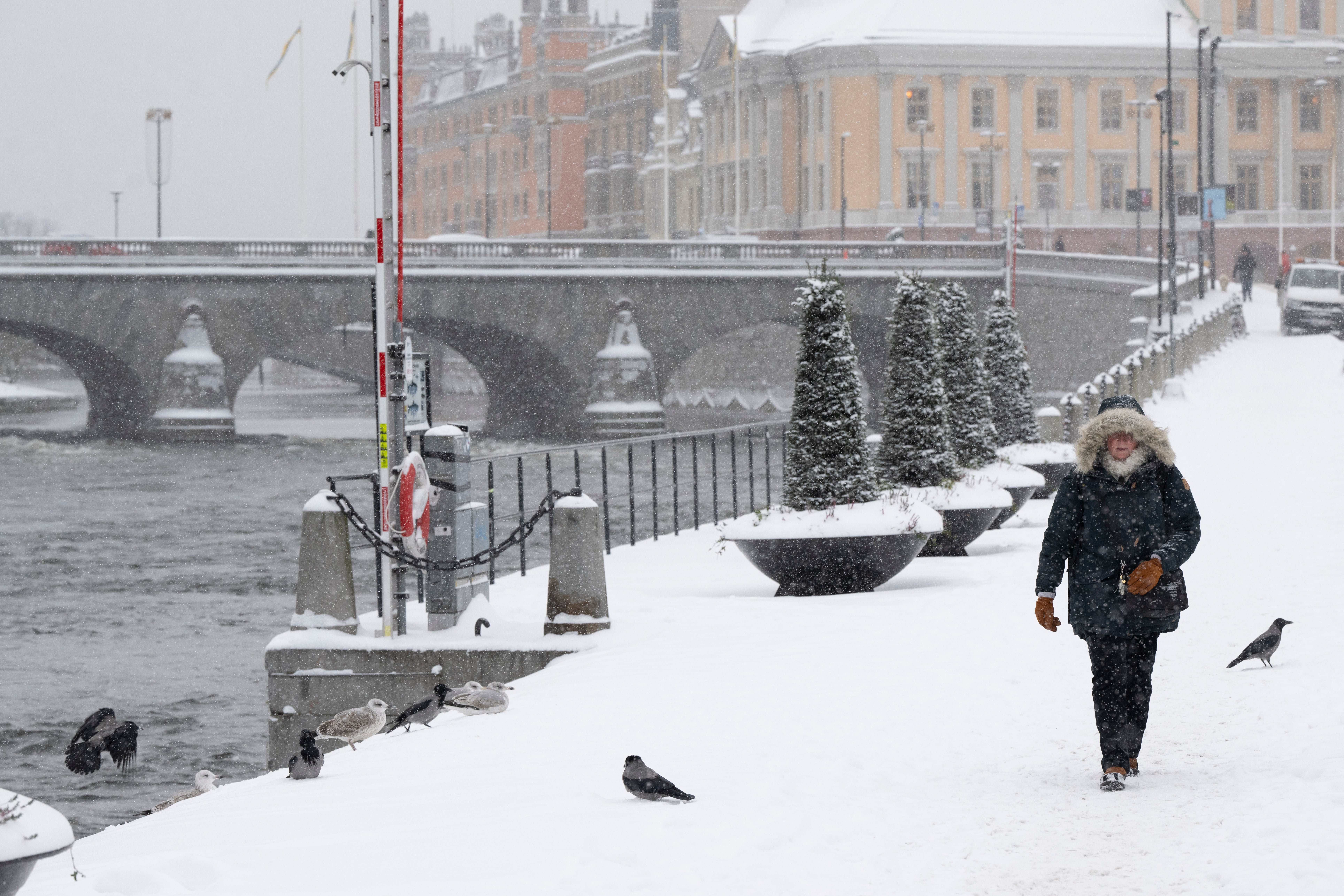 Sweden Europe Weather