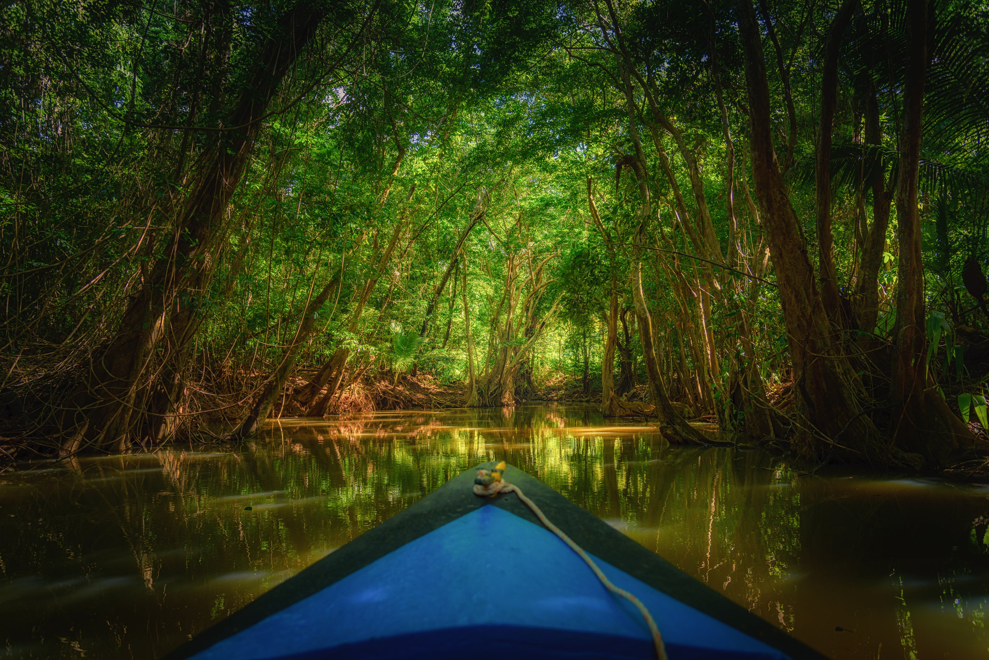 Hike, dive, kayak and swim in the rainforests of this mountainous Caribbean island