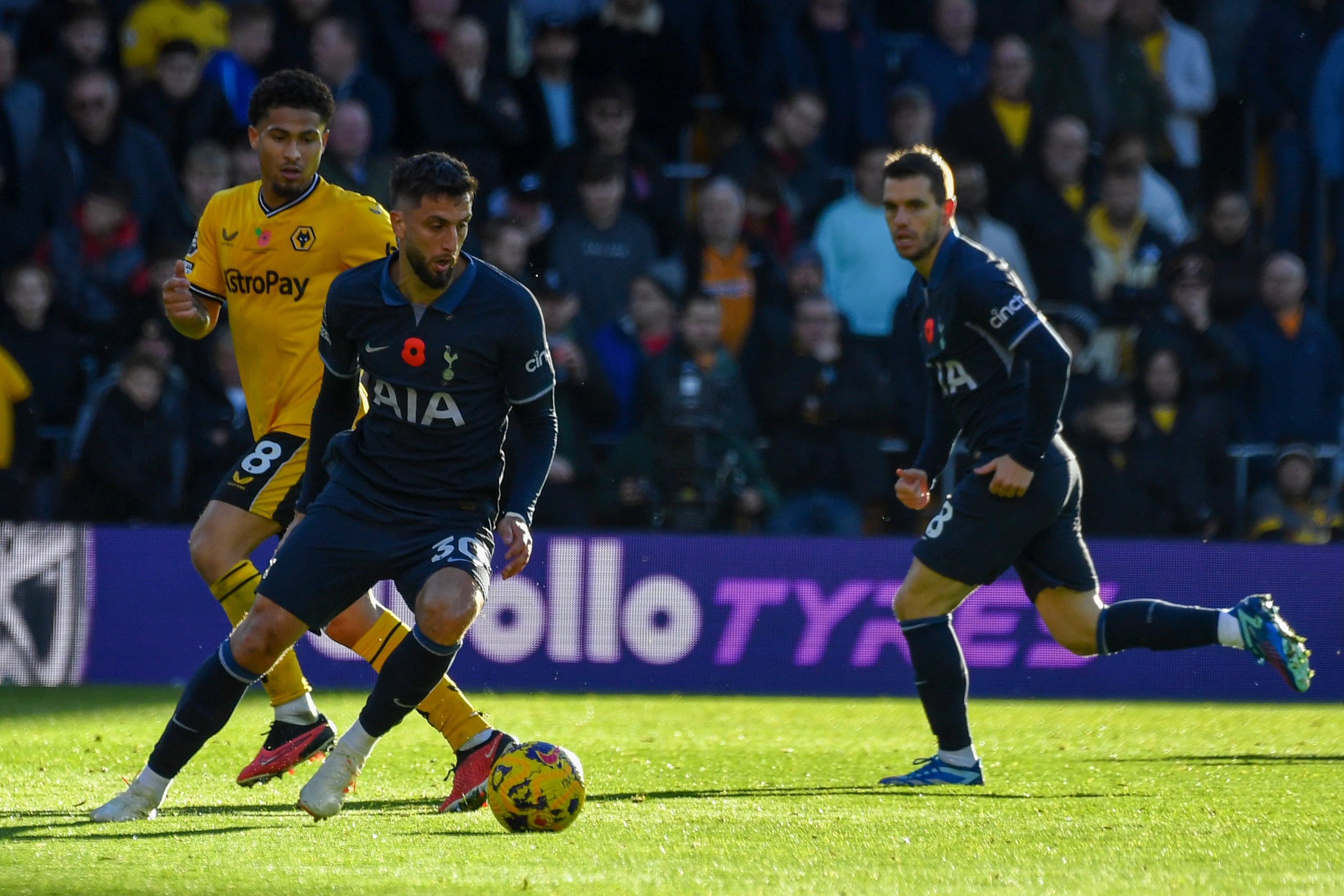 Tottenham have suffered injury problems this season