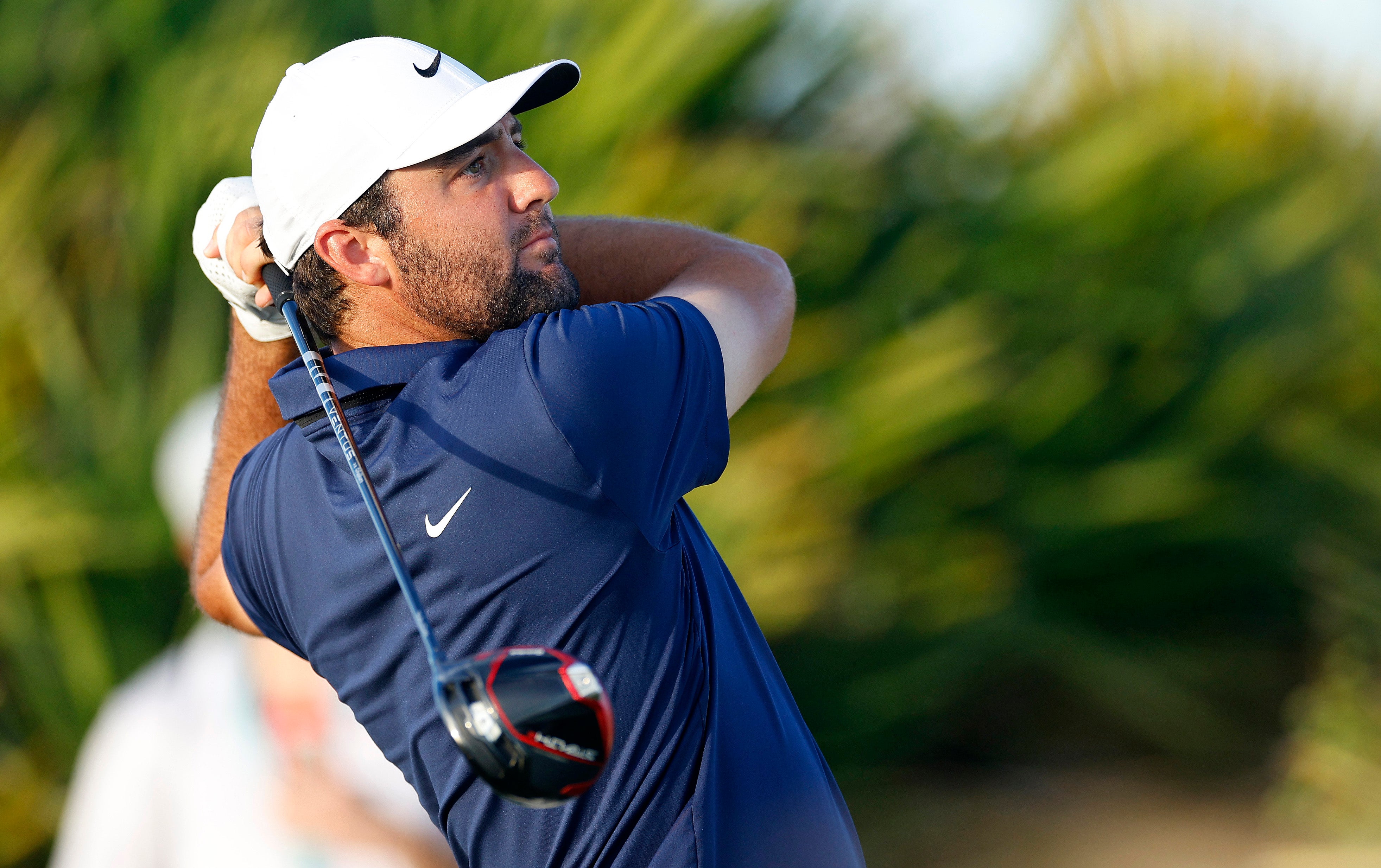 Scheffler looks primed to win the Hero World Challenge