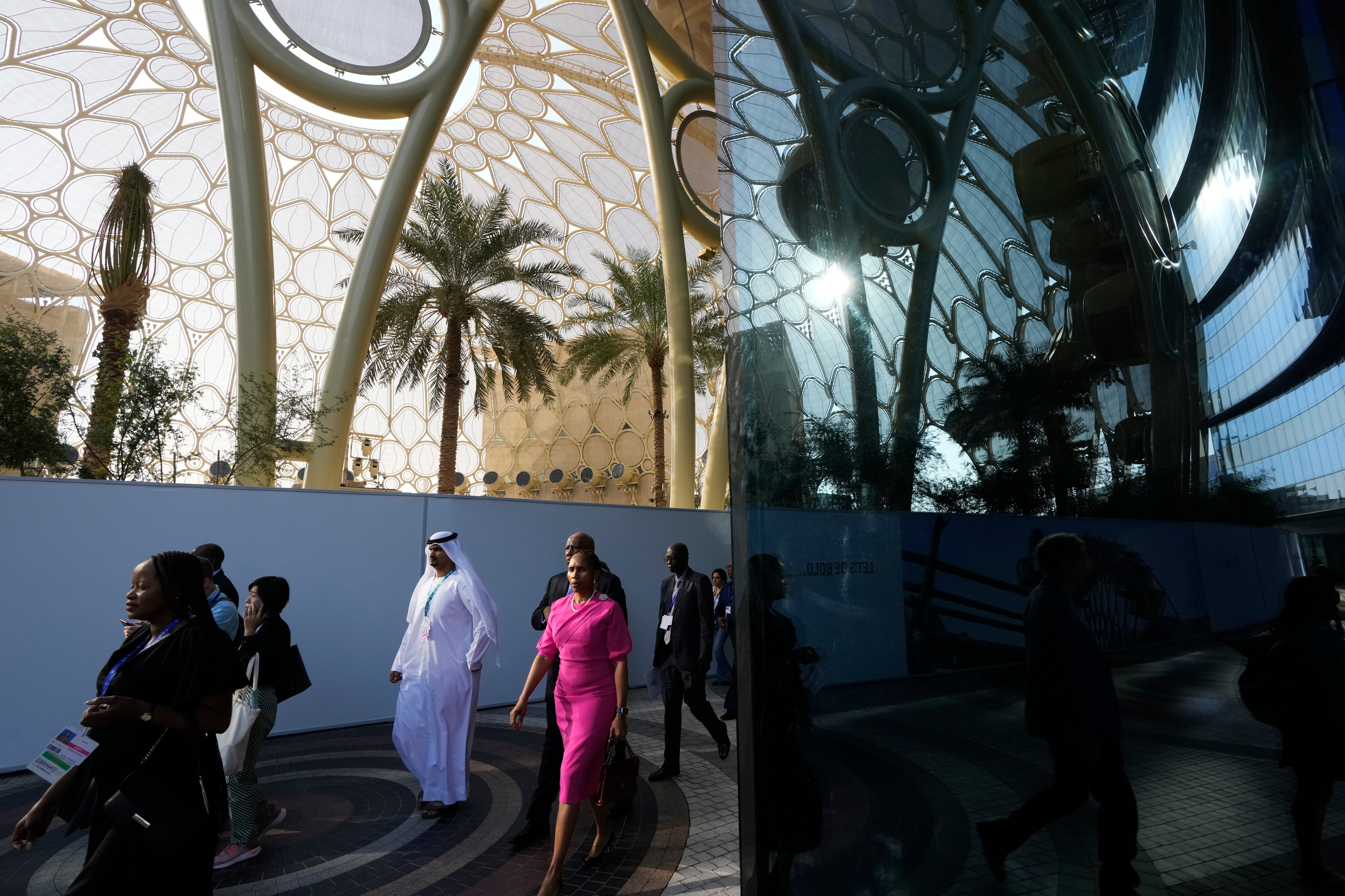 COP28 Climate Summit