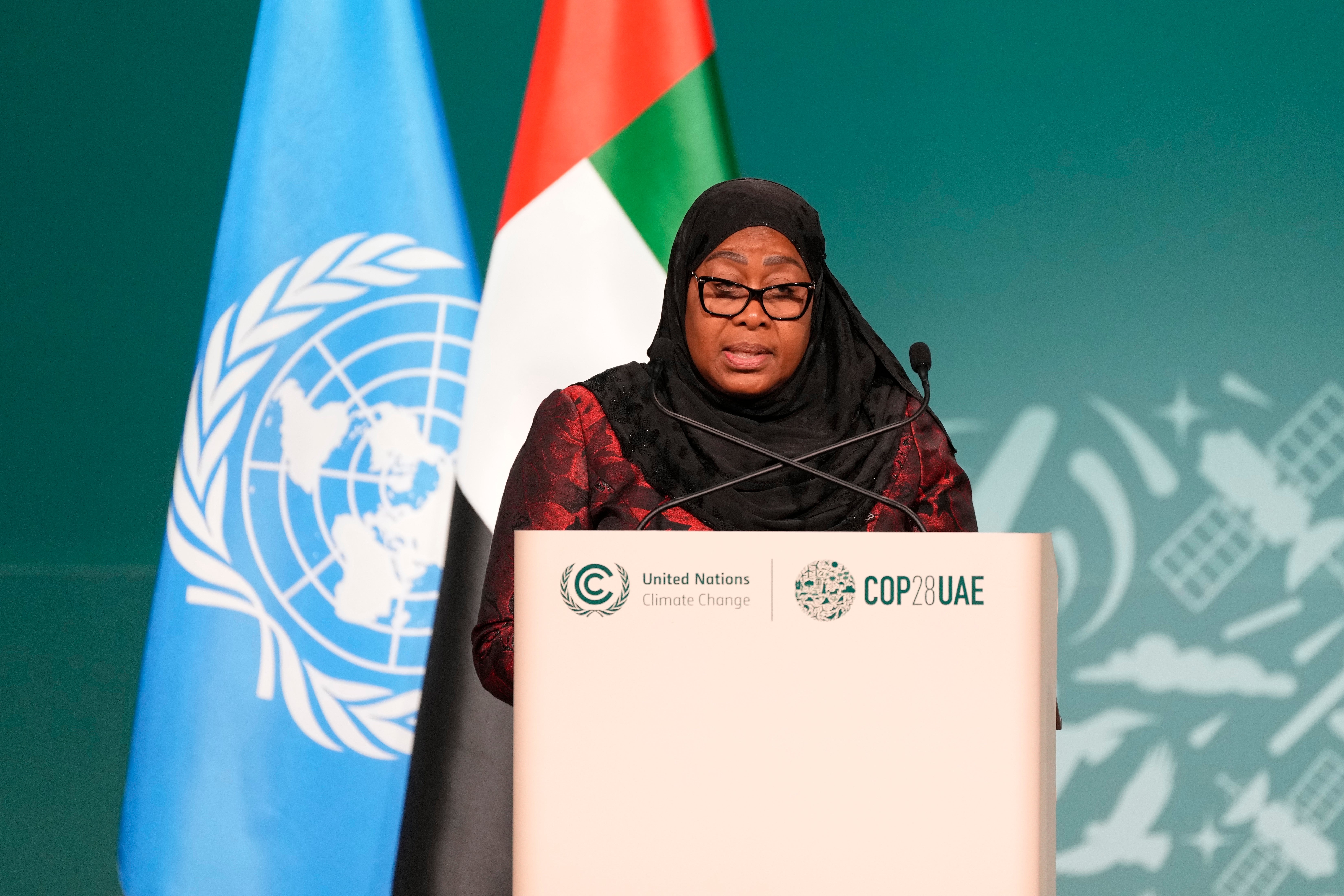 COP28 Climate Summit