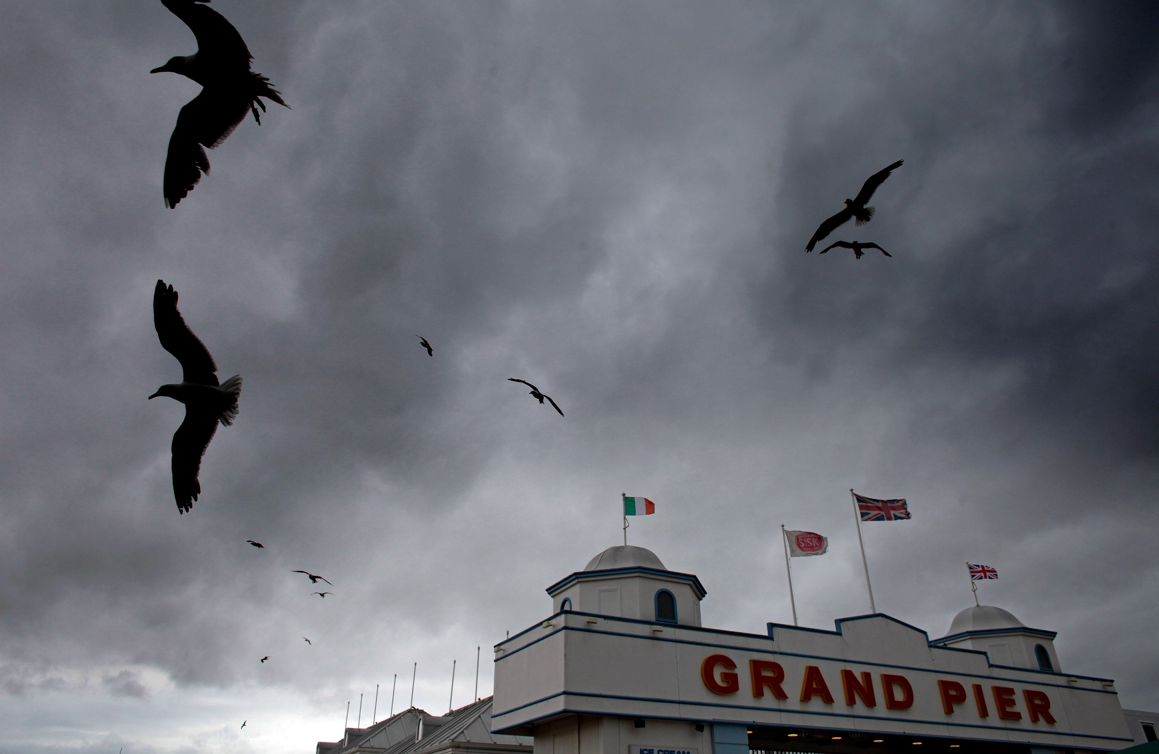 Seagulls fly to and from the town from the breeding colony of Steep Holm