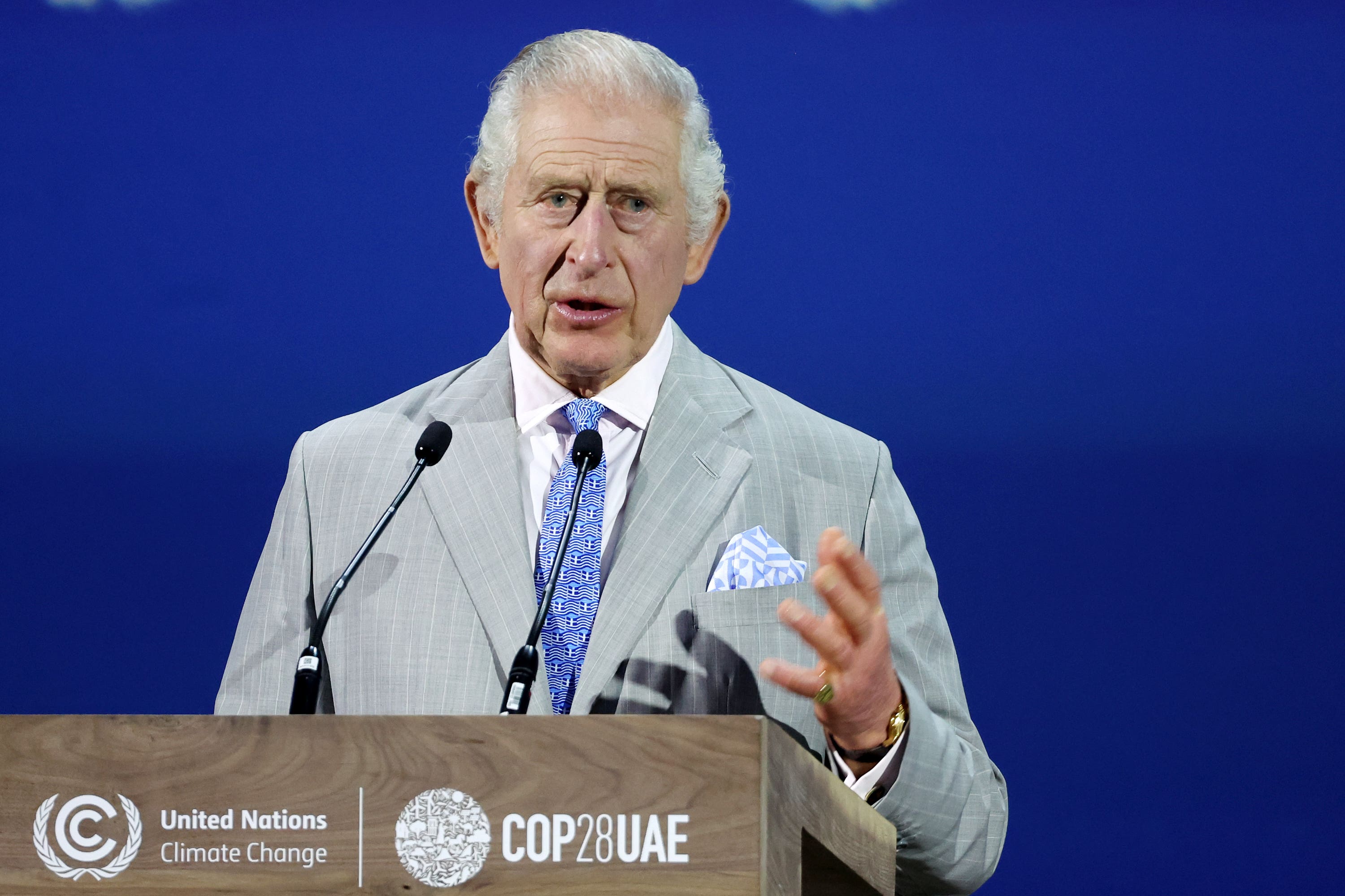The King speaks at the World Climate Action Summit at Cop28 in Dubai (Chris Jackson/PA)