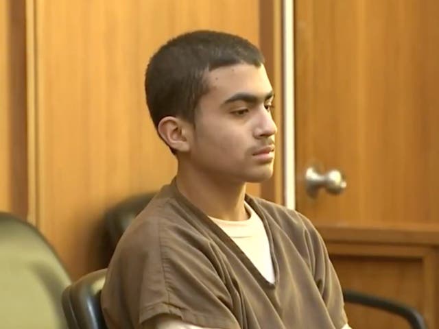 <p>Derek Rosa, 15, pleaded guilty to second-degree murder for the fatal stabbing of his mother, Irina Garcia, in 2023</p>