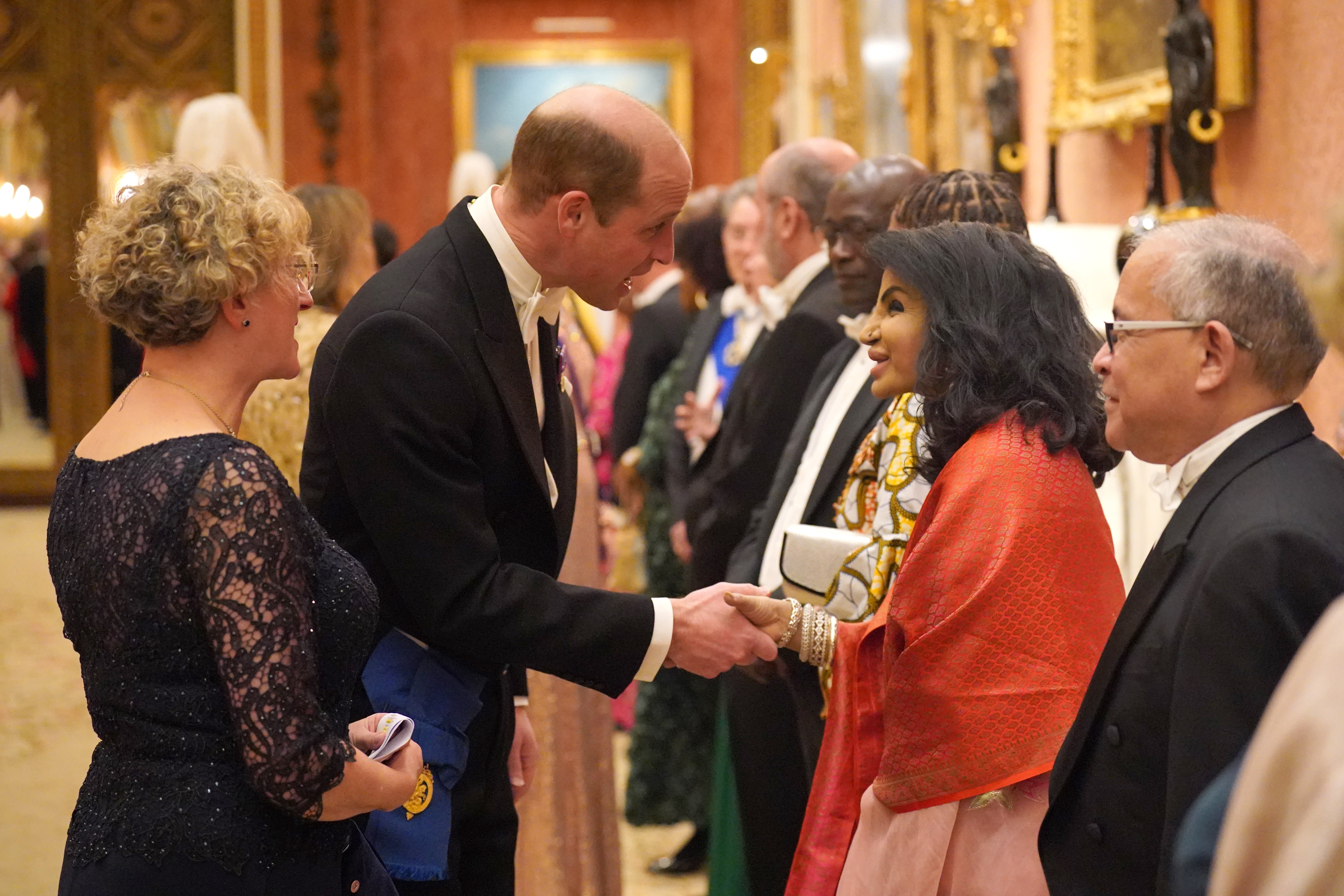 Prince Williams shakes hands of members of the Diplomatic Corps at Buckingham Palace