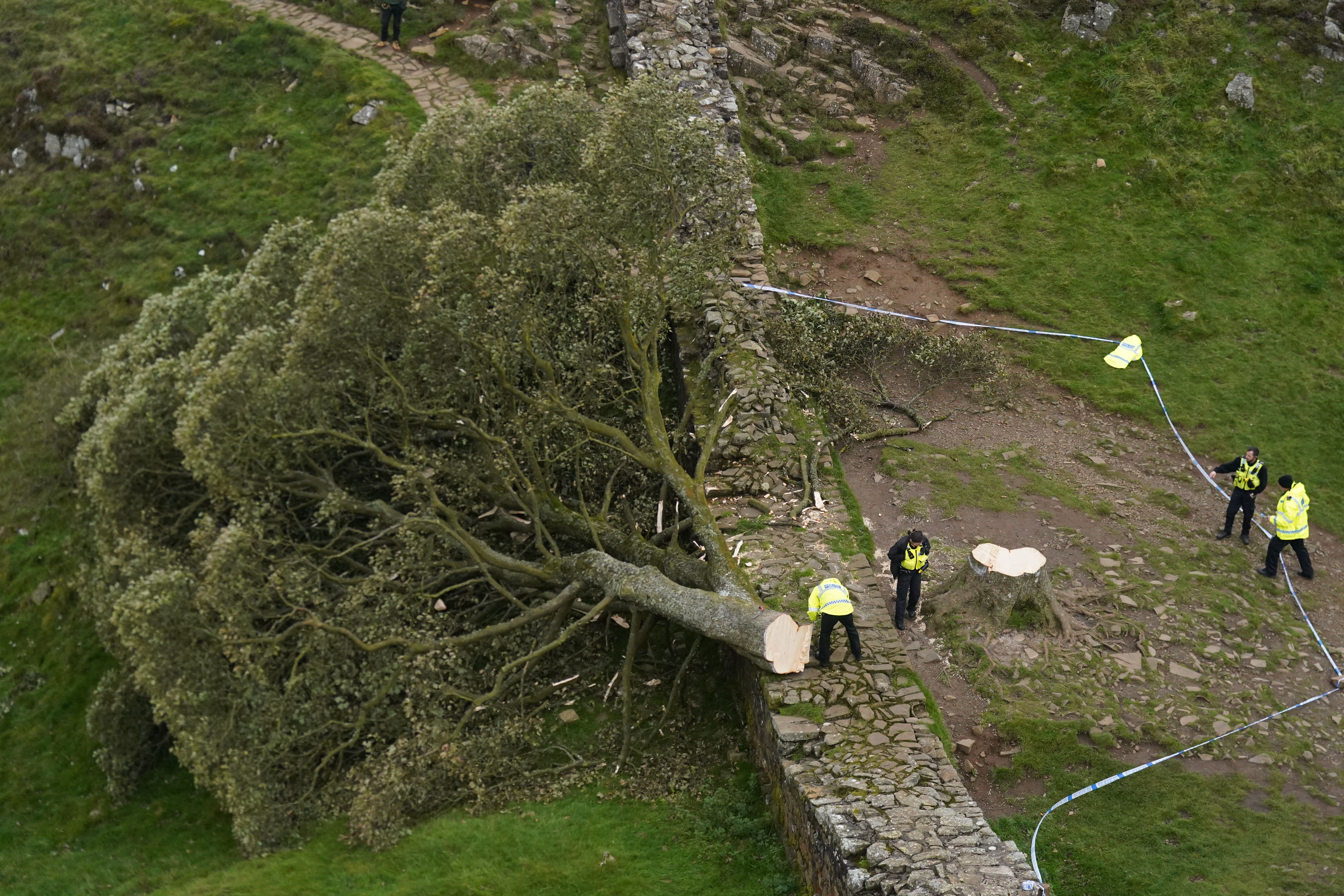 Police officers look at the felled tree at Sycamore Gap, next to Hadrian’s Wall, in Northumberland.