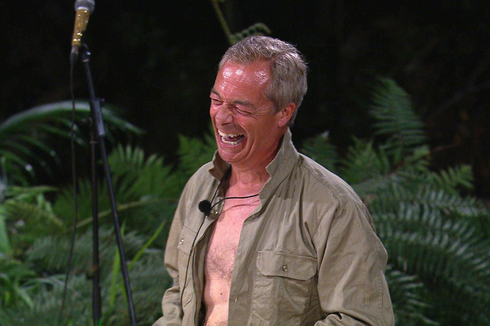 Nigel Farage on ‘I’m a Celeb’