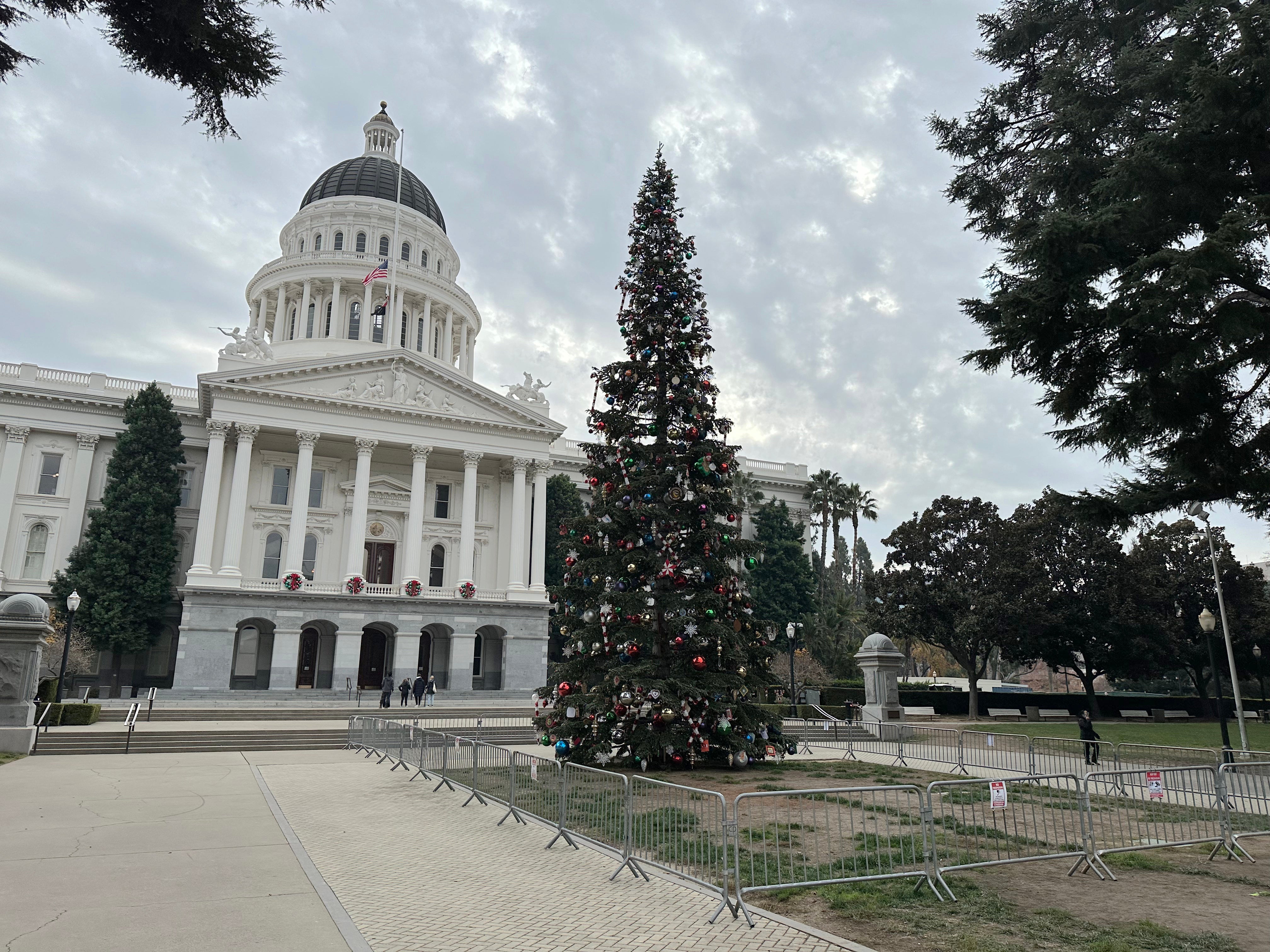 California Governor Tree Lighting