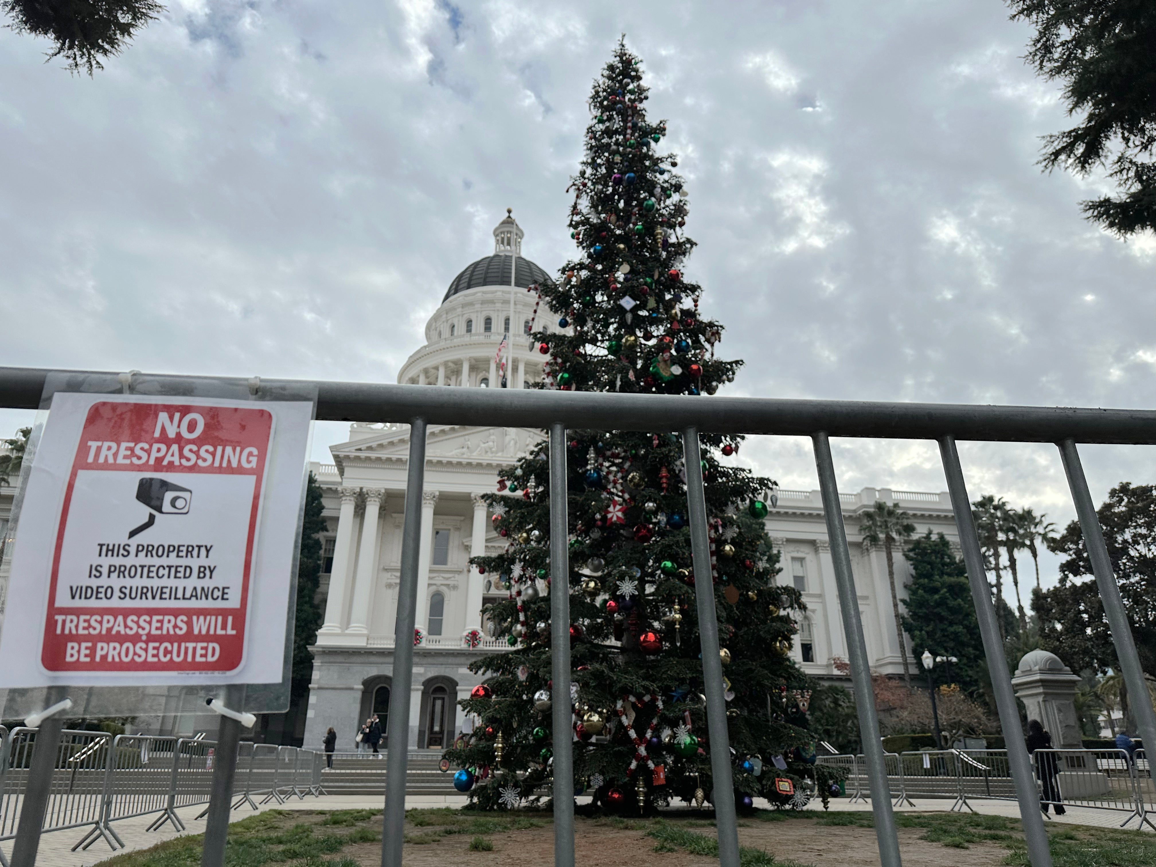 California Governor Tree Lighting
