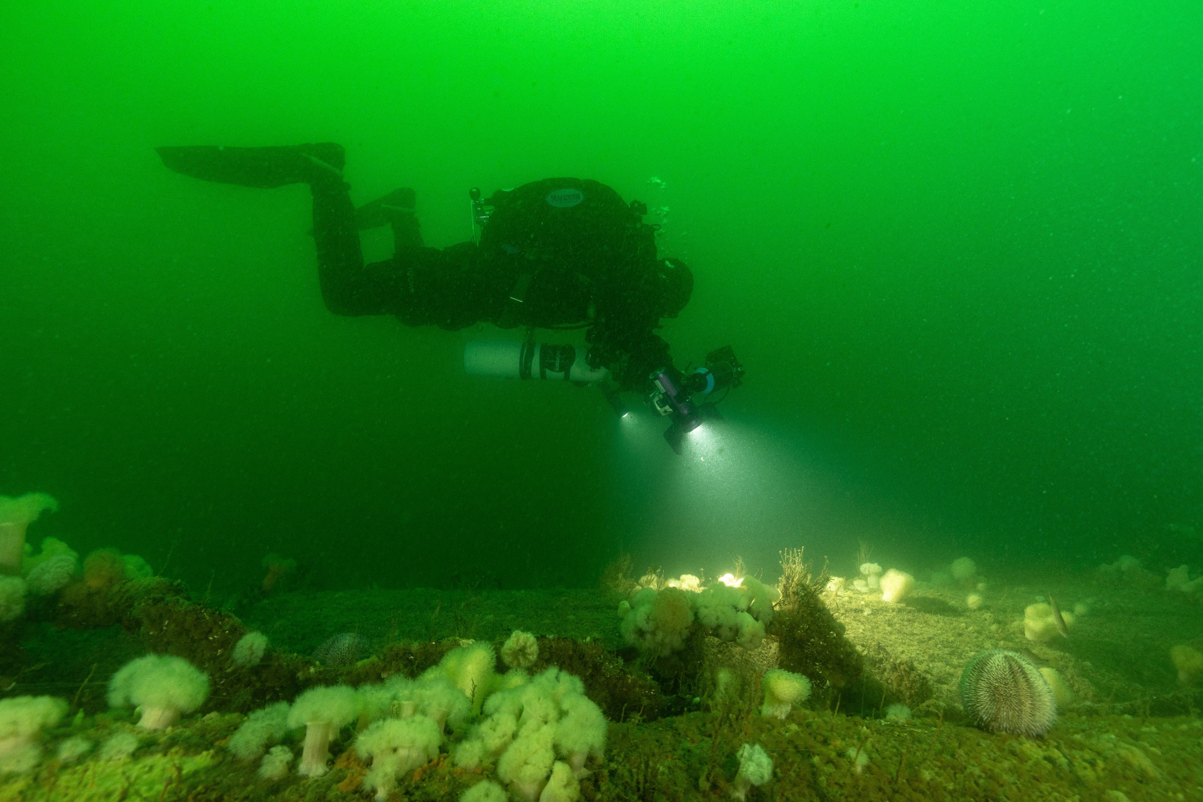 Divers use high-intensity lights and the latest camera equipment to map the wreck site (University of Dundee/PA)