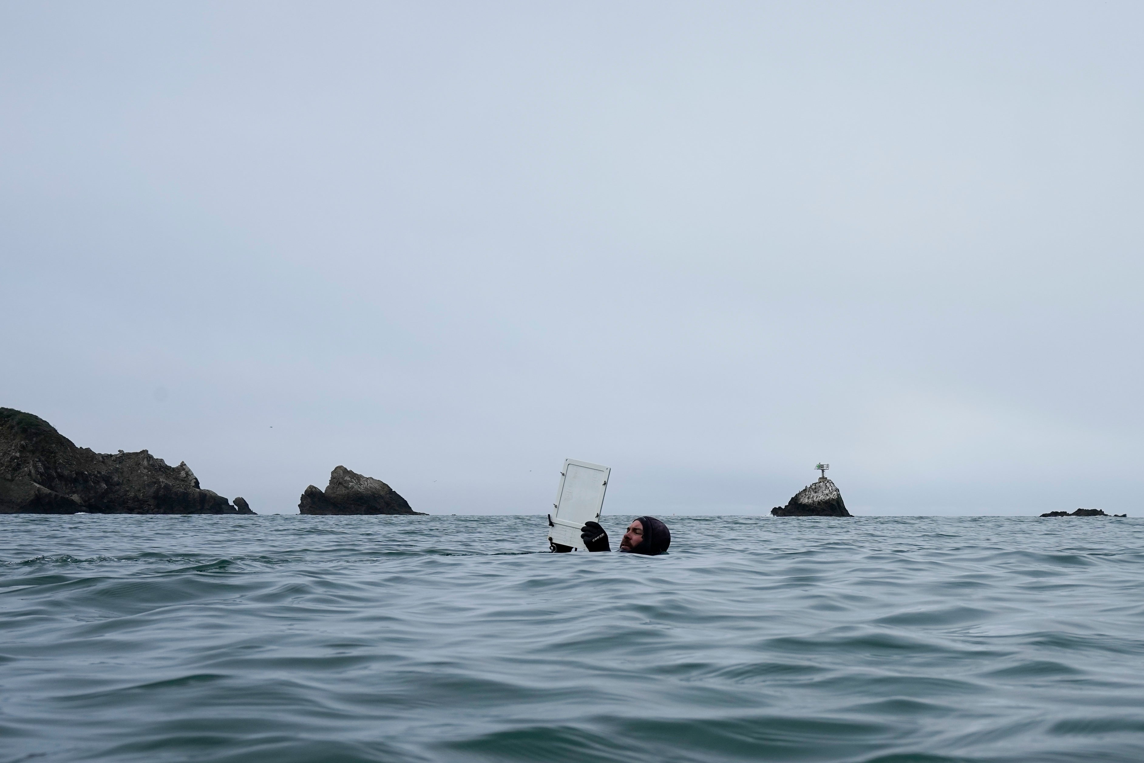 COP28 Climate Saving Kelp Forests