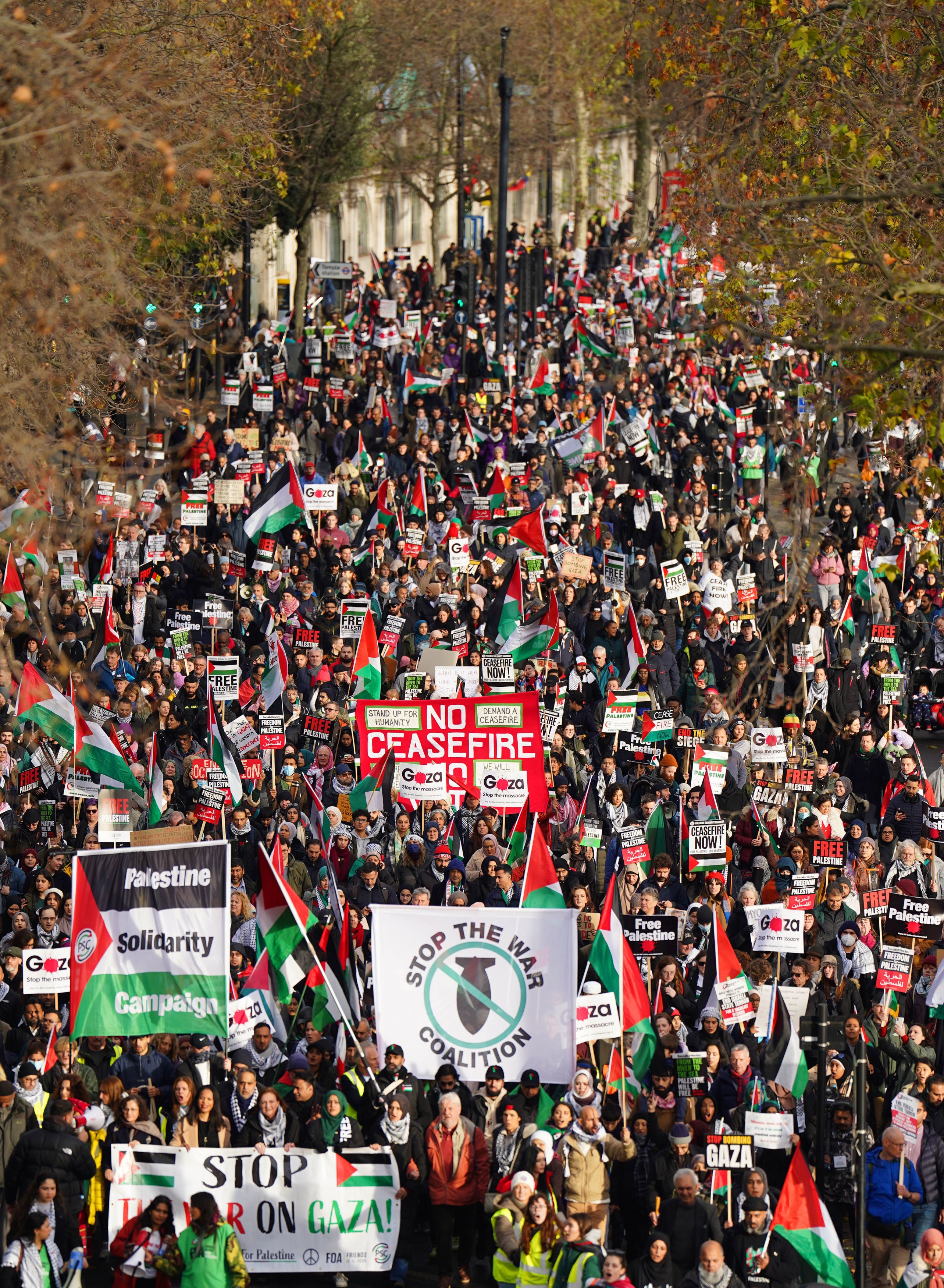 Protesters on Embankment during the pro-Palestine march