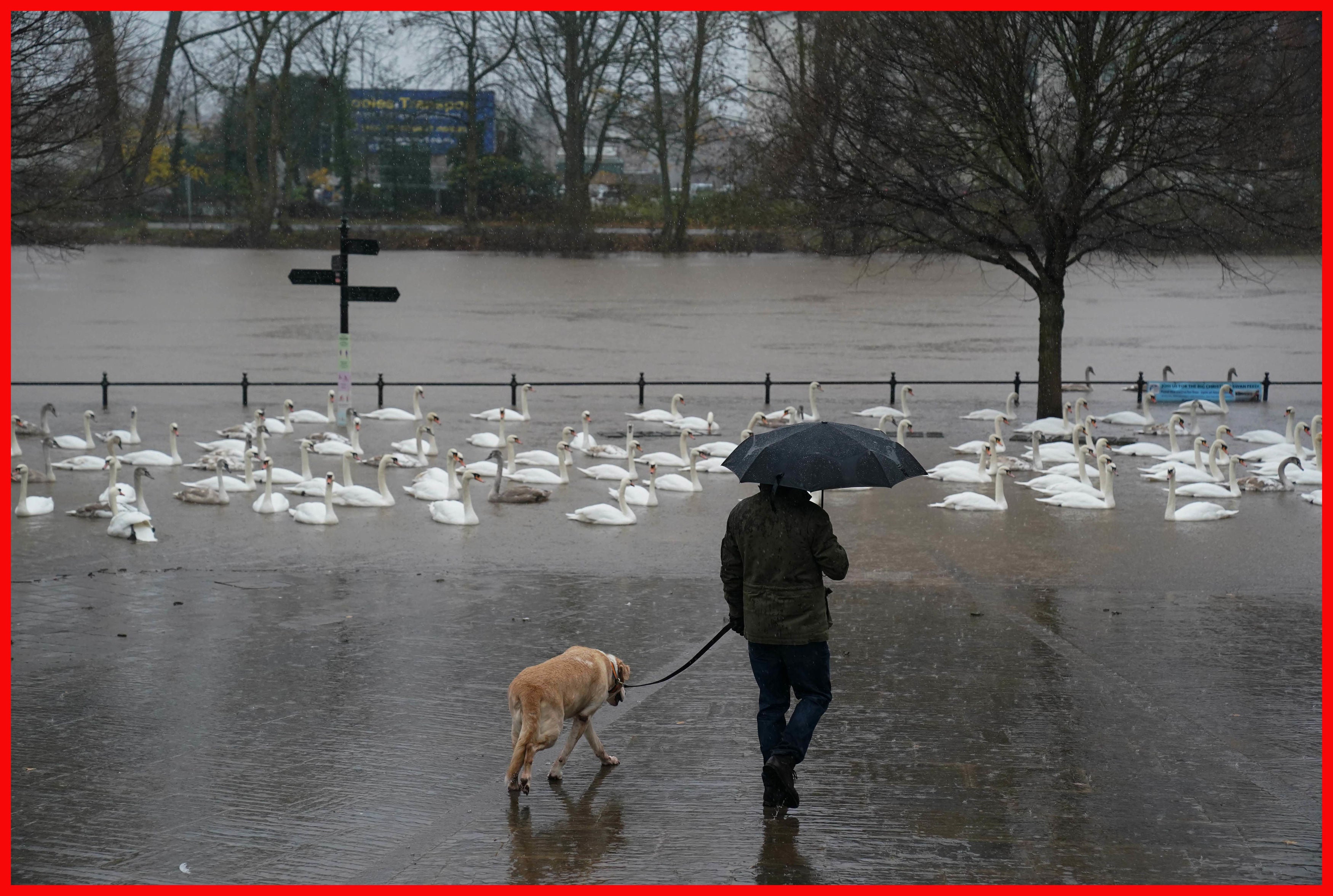 River levels rose dramatically on Sunday following heavy rain in Worcester.