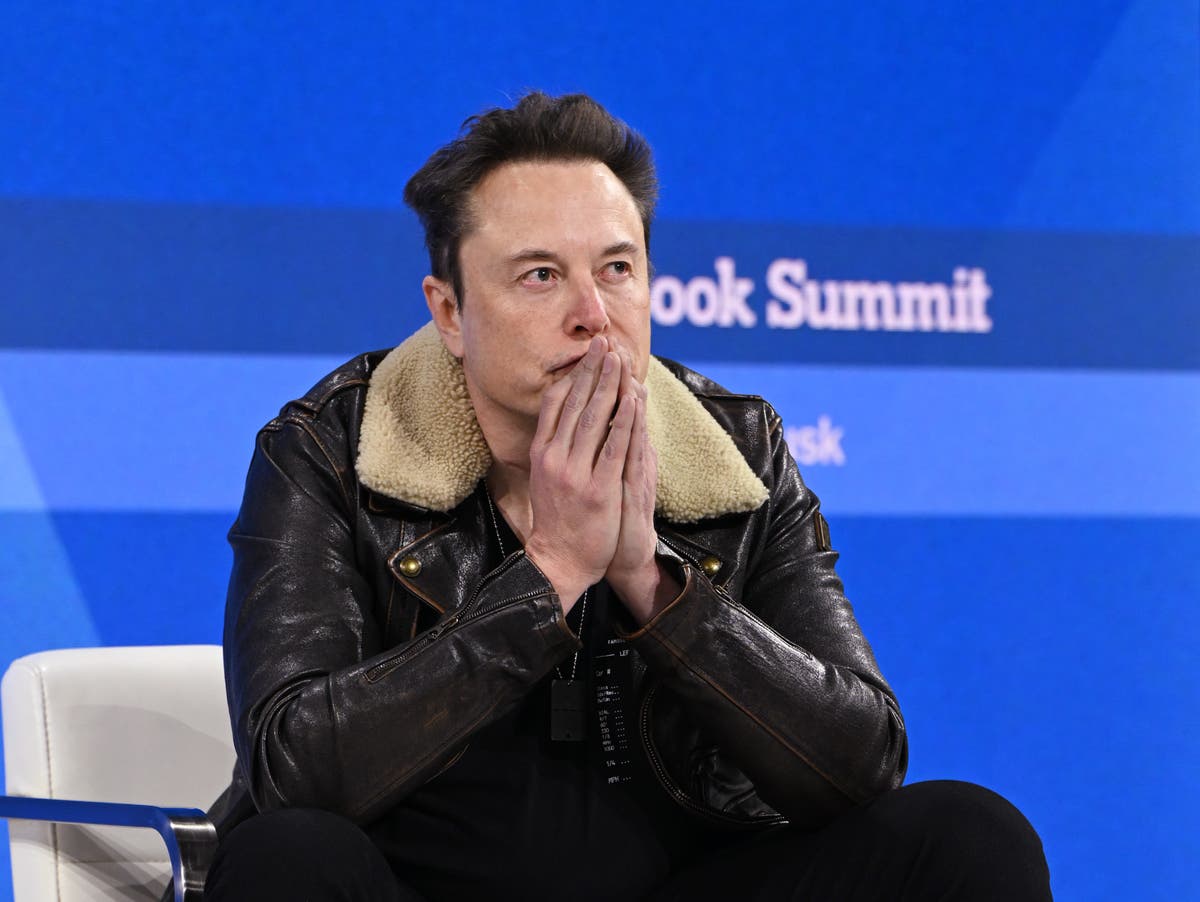 Elon Musk’s own AI assistant Grok roasts him | The Independent