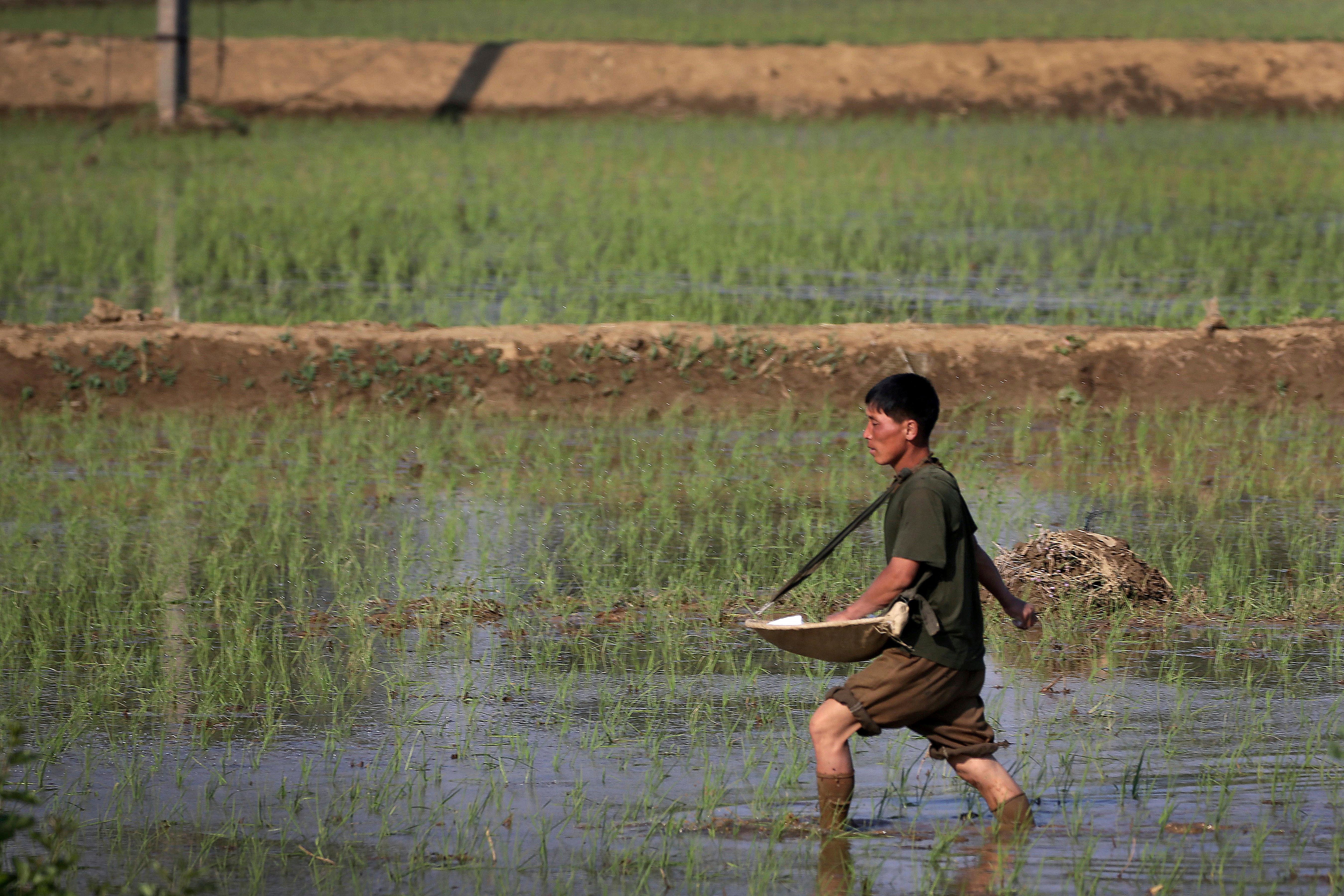 Asia Hunger