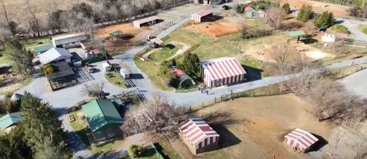 Other animals were left behind, according to a zookeeper