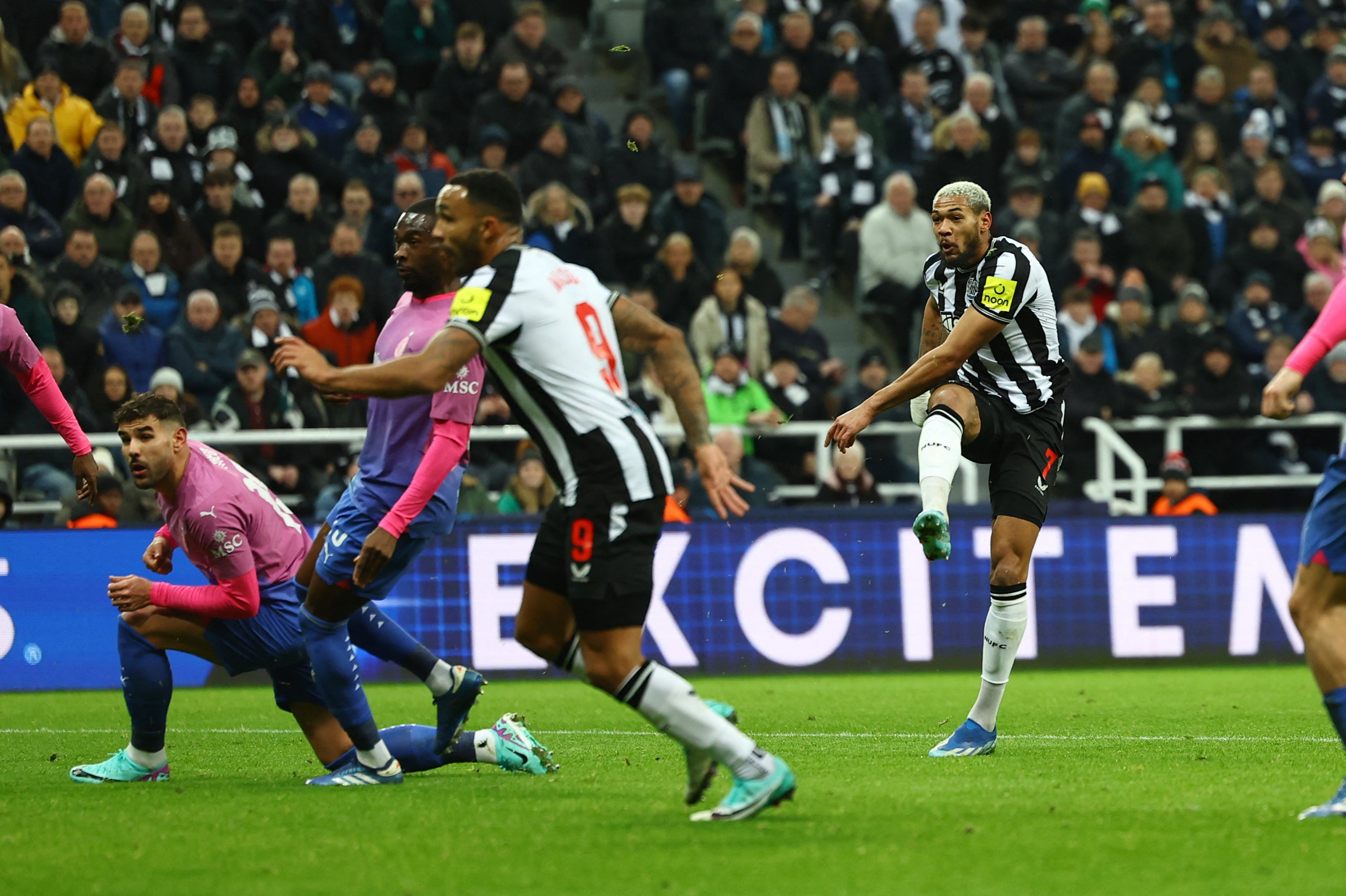 Joelinton thumped home Newcastle’s goal