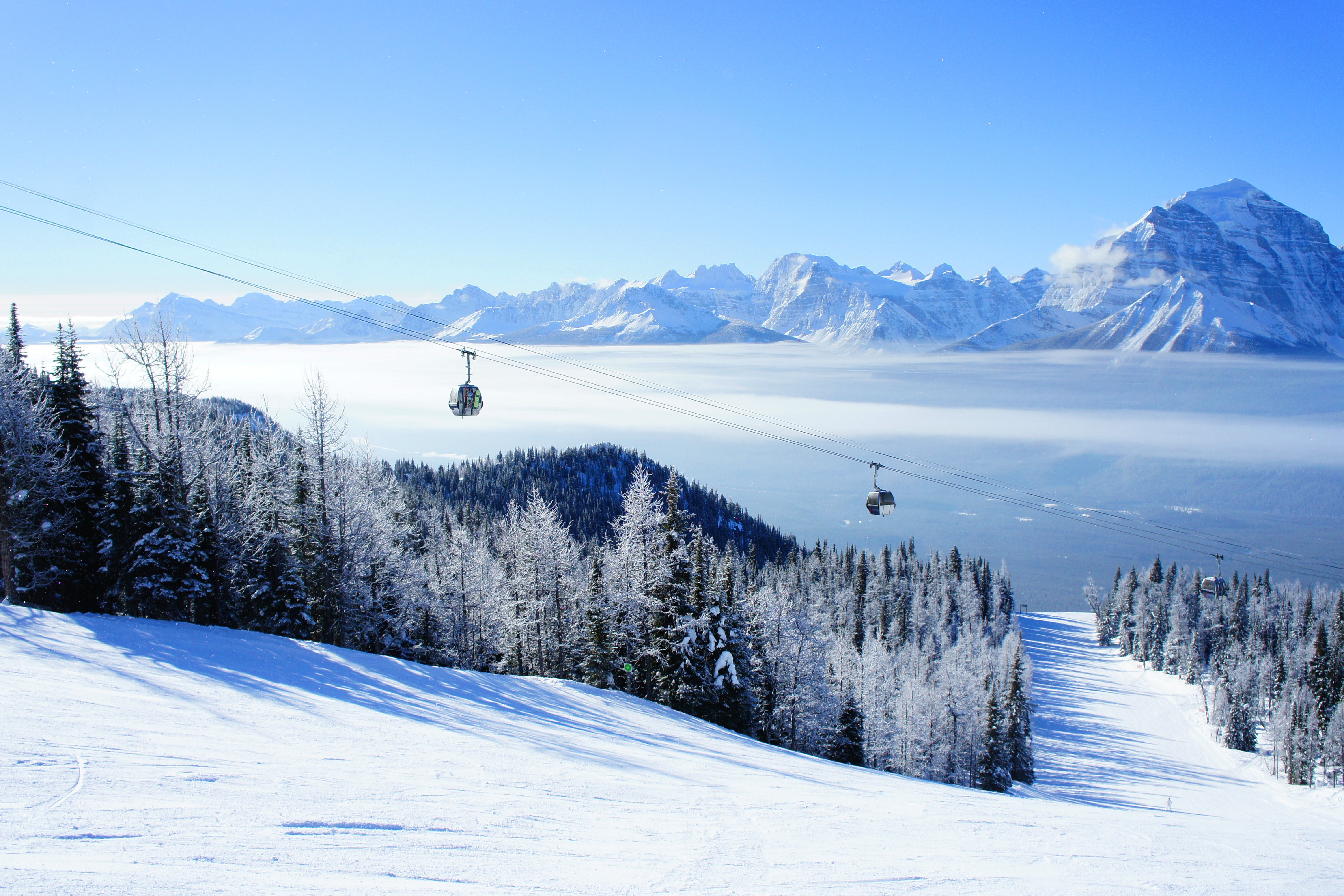 Keep a look out for strolling elk as you ski the picturesque slopes of Lake Louise in Alberta