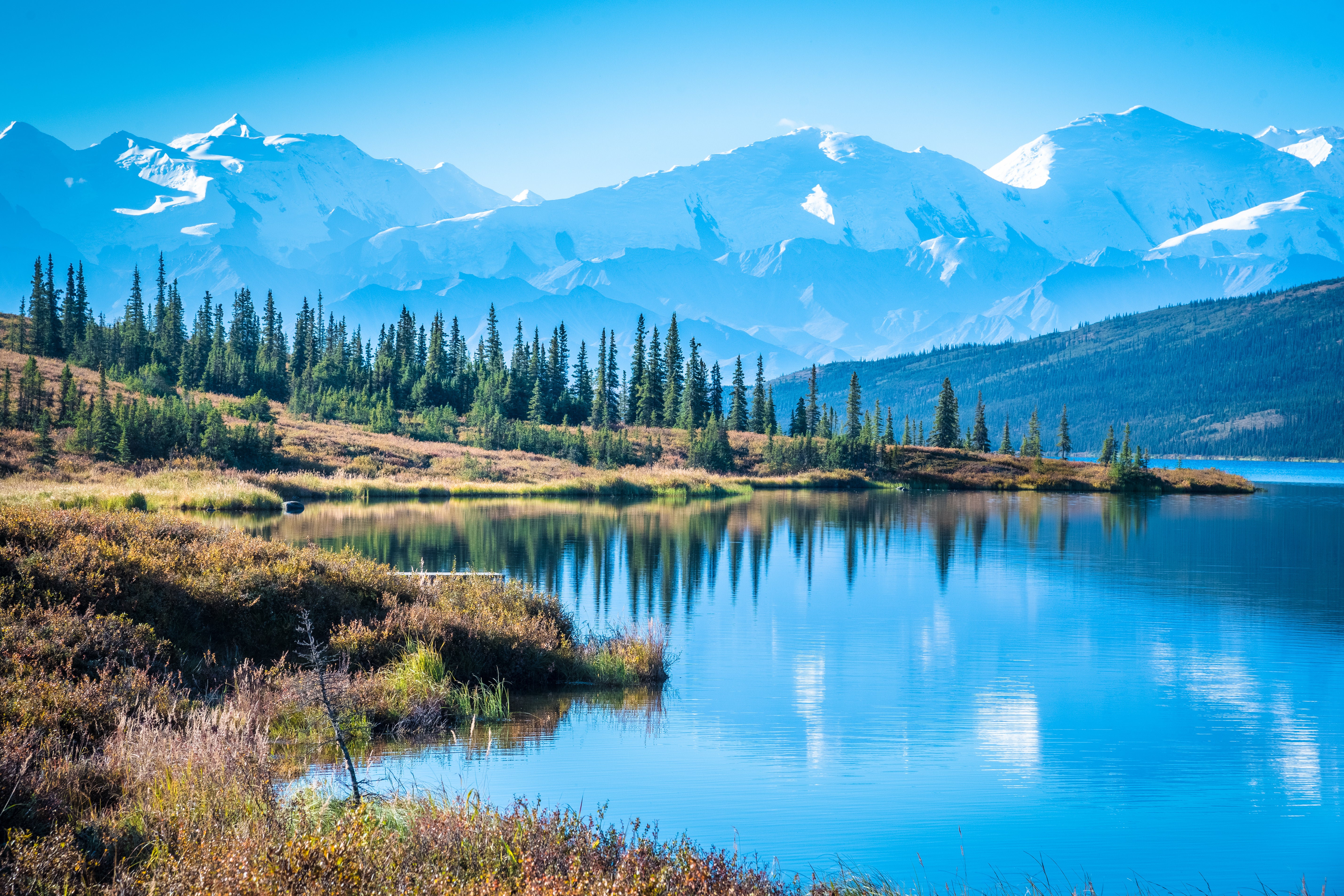 Witness North America’s tallest mountain at Denali National Park