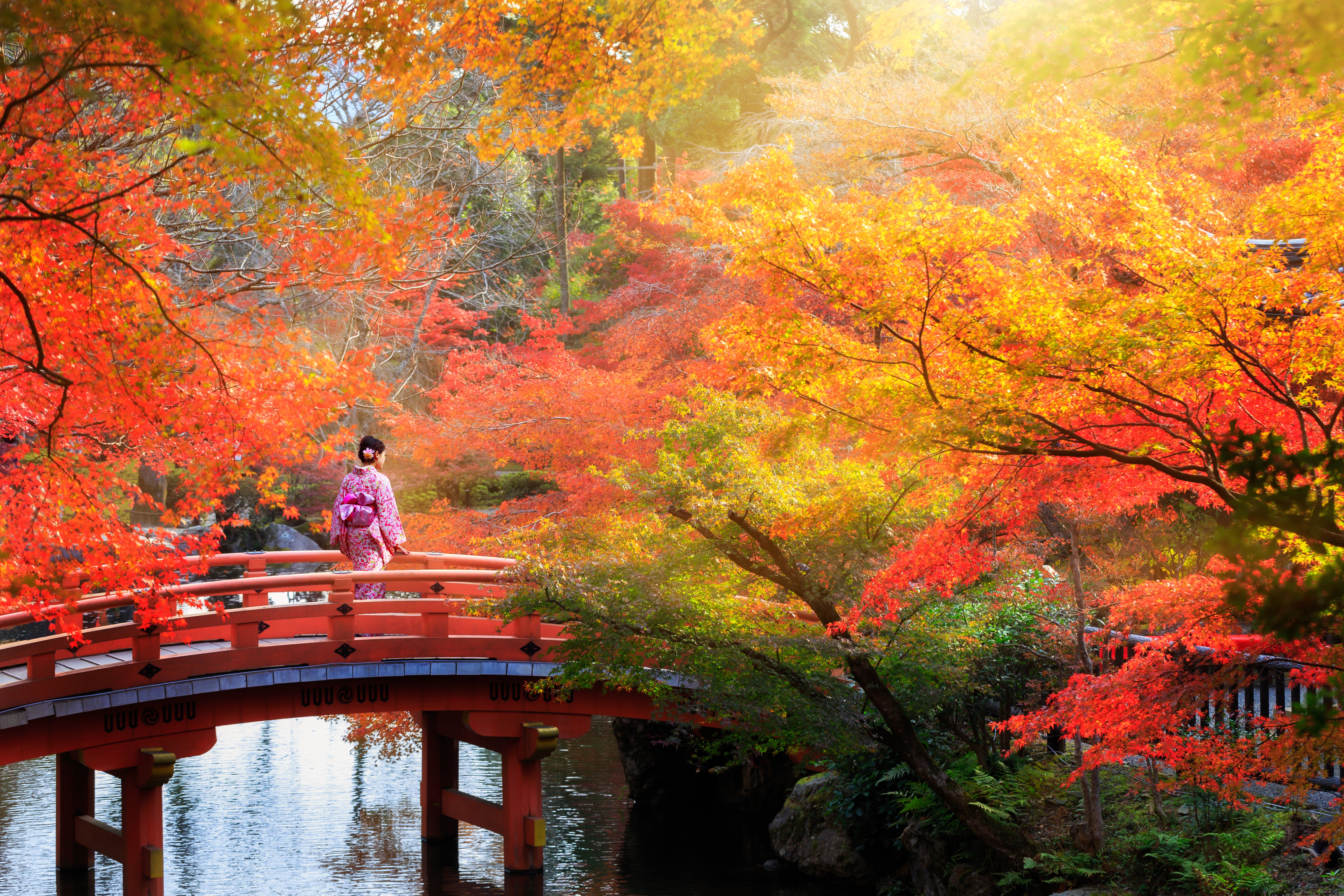 Forget the cherry blossoms. Japan’s autumn leaves are just as awesome