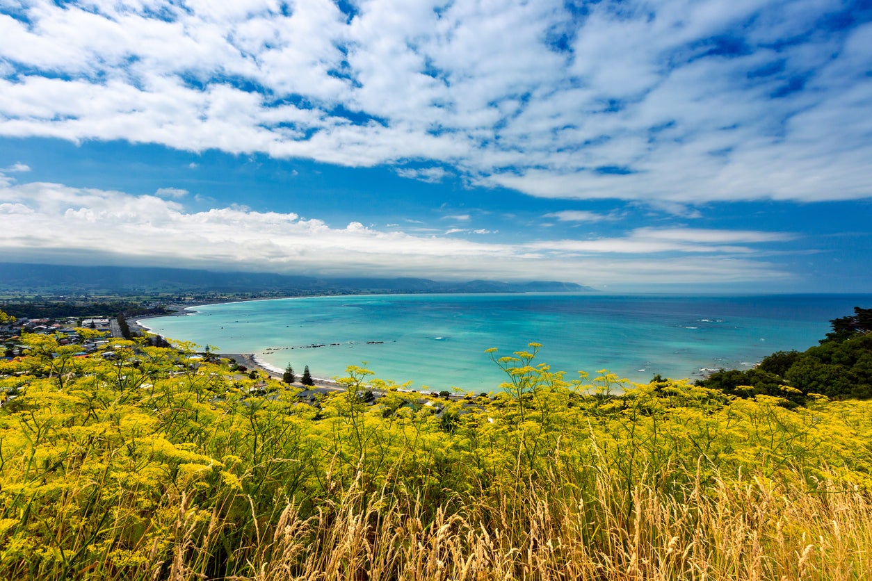 The fragile beauty of Kaikoura is now being protected by the surrounding community