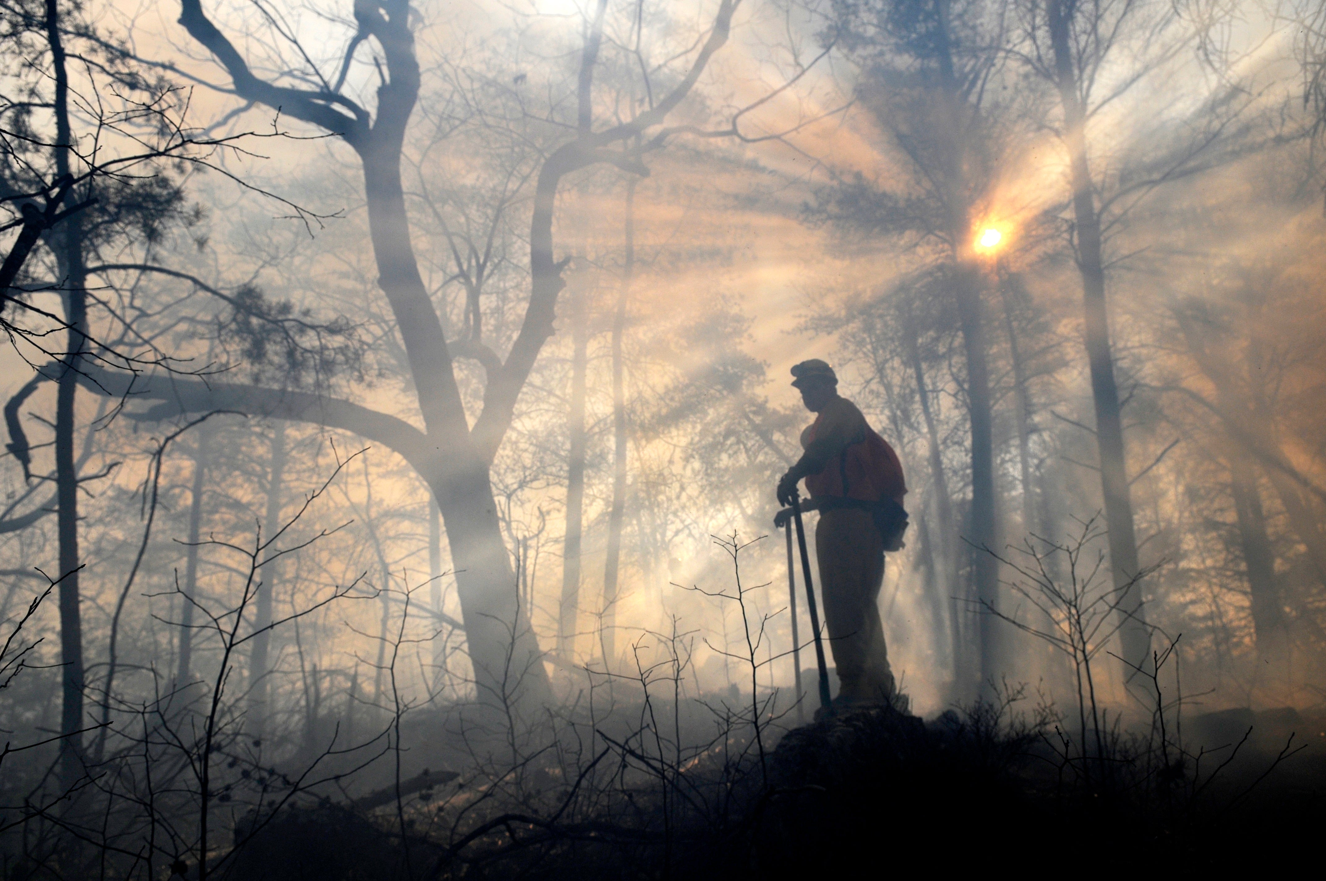 Longleaf Pine Prescribed Burns