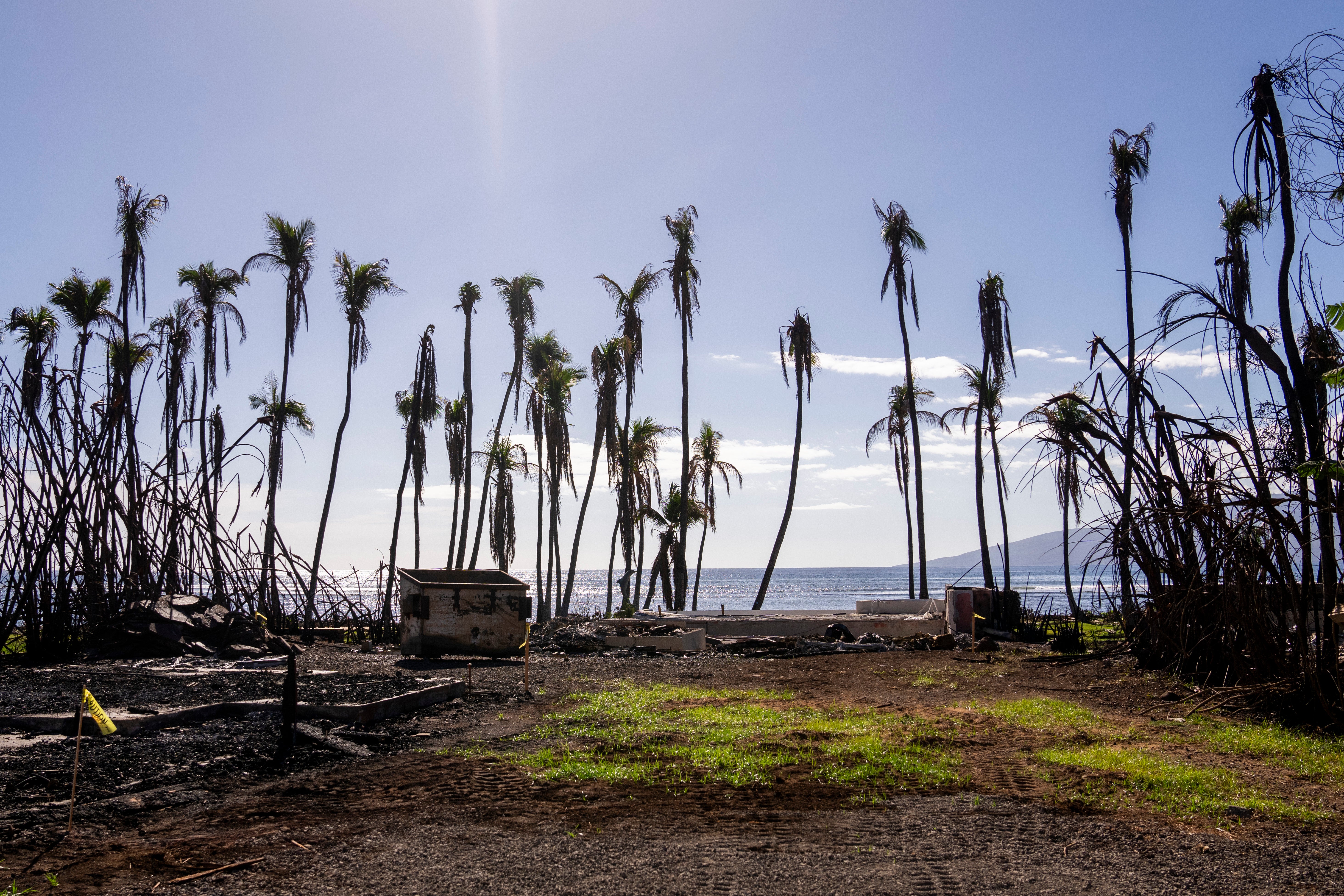 Hawaii Wildfire
