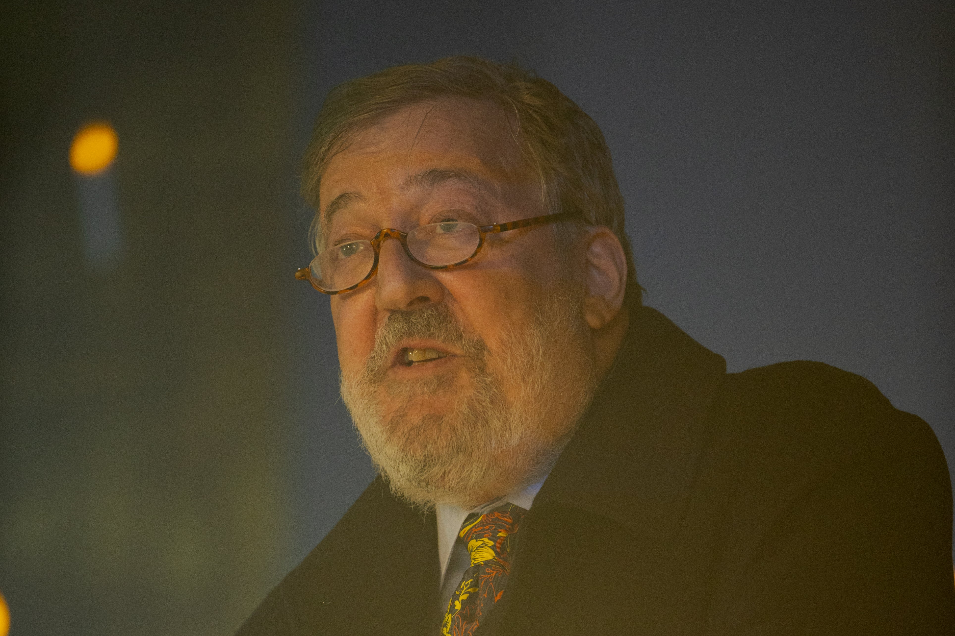 Stephen Fry speaks during The Fayre of St. James's