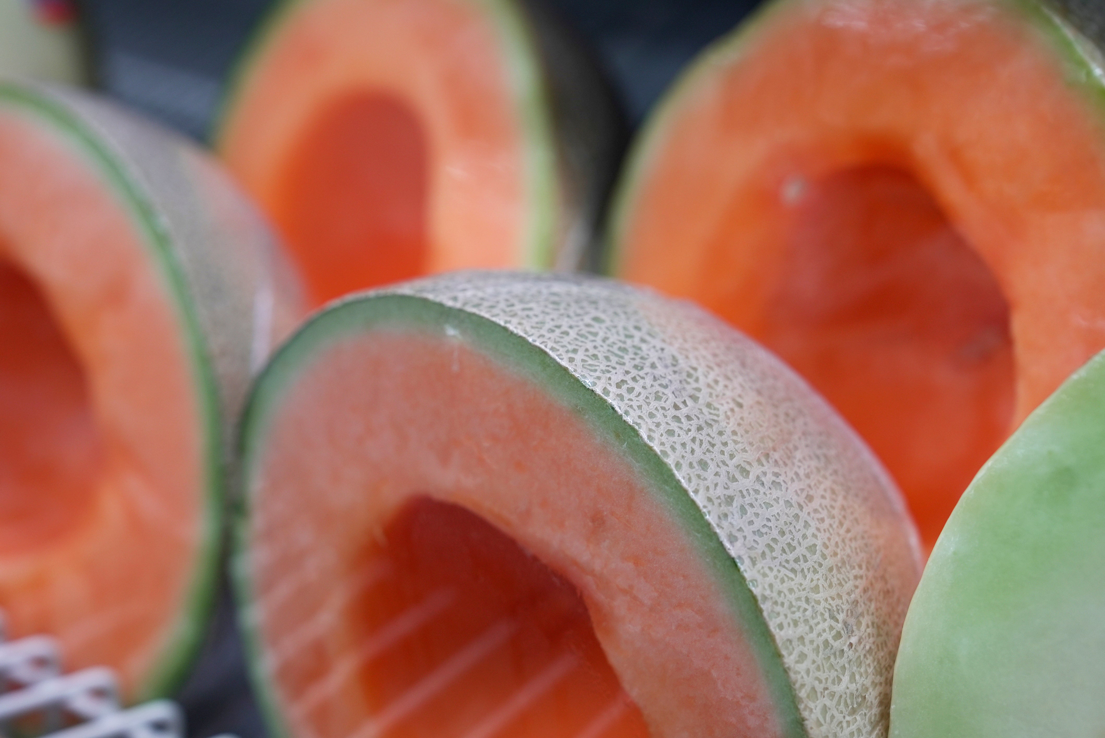 Salmonella Cantaloupe Explainer