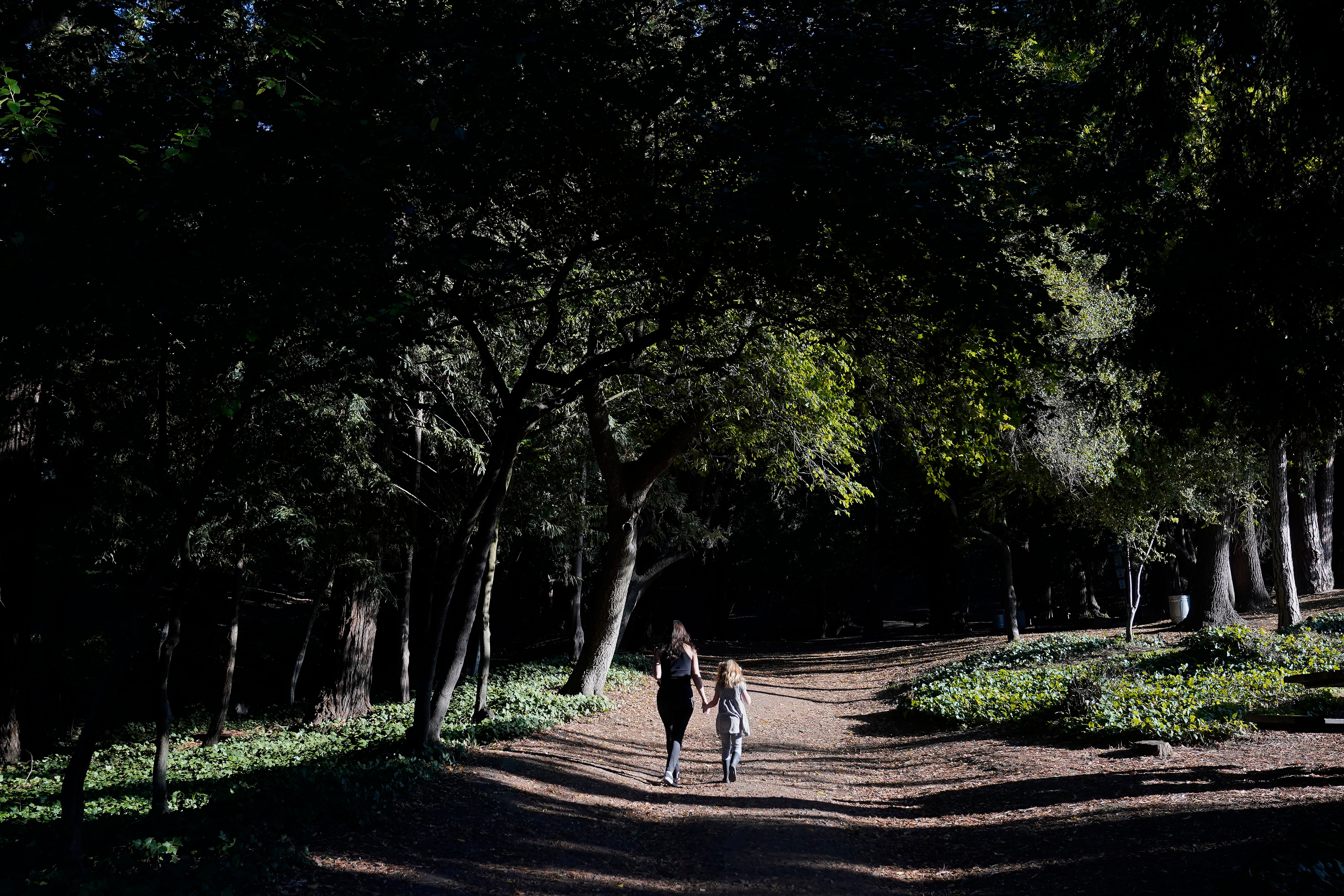 Education Kindergarten Enrollment