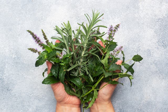 <p>How to make the most of your summer crop of herbs</p>
