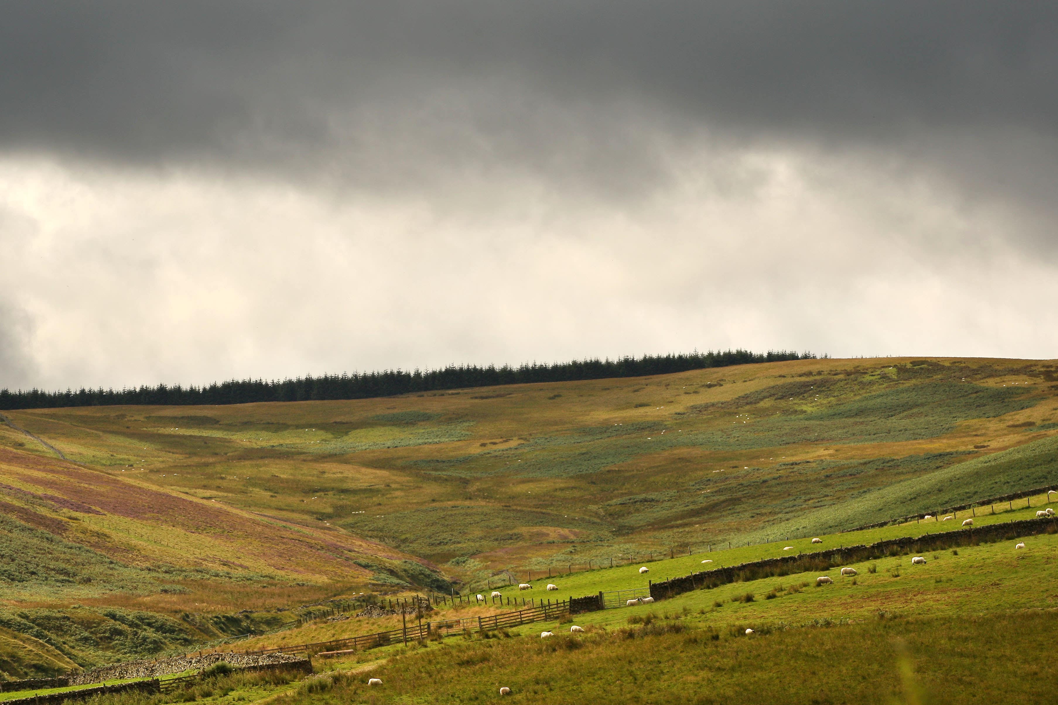 The Scottish Government has been urged to ensure cash intended for agricultural support is spent for this purpose (PA)