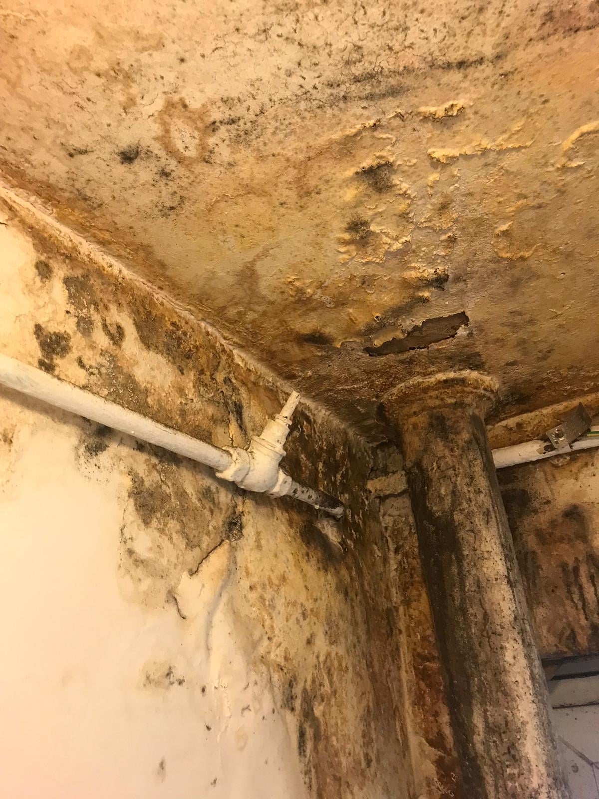 The family lived in their mouldy flat for over two years